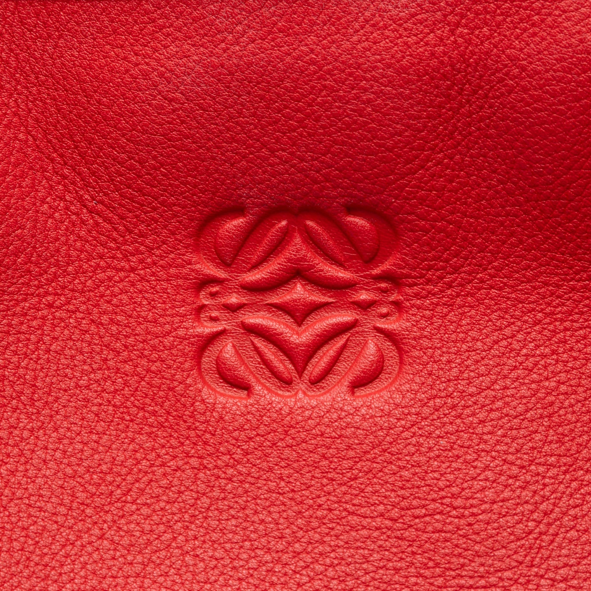 LOEWE Tricolor Leather Amazona 36