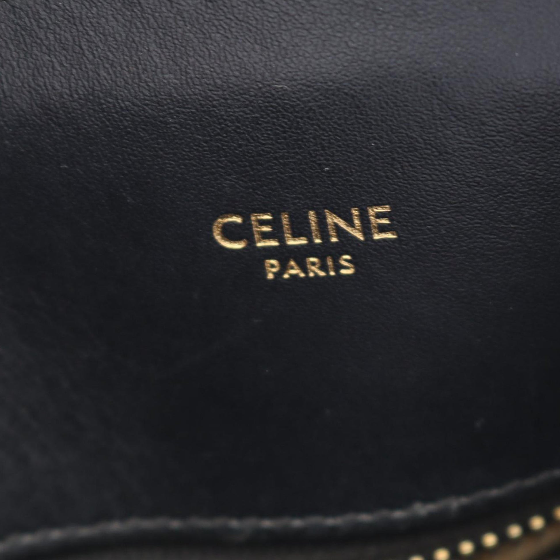 Celine Small Triomphe Canvas Vertical Cabas Tote