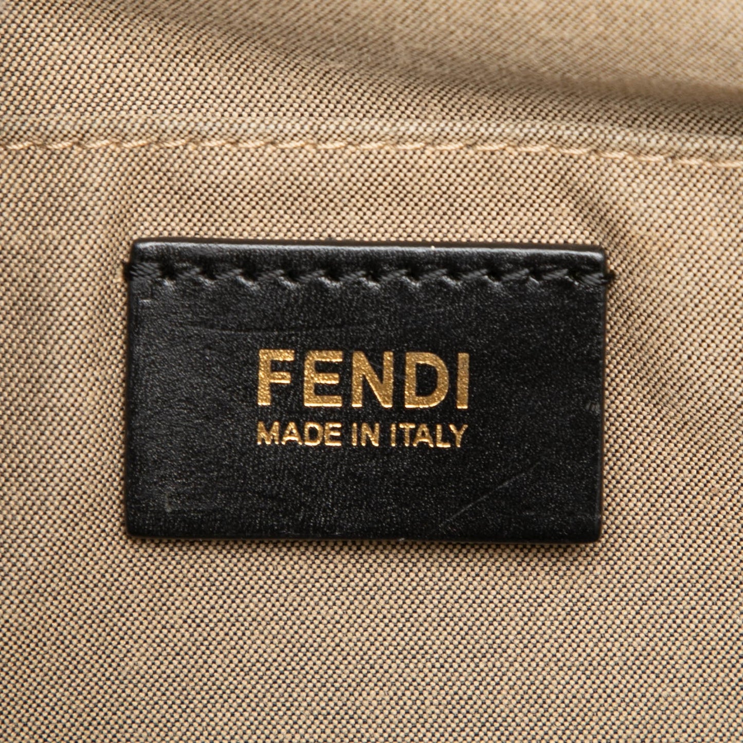 Fendi Mini Canvas Colorblock Chameleon Satchel