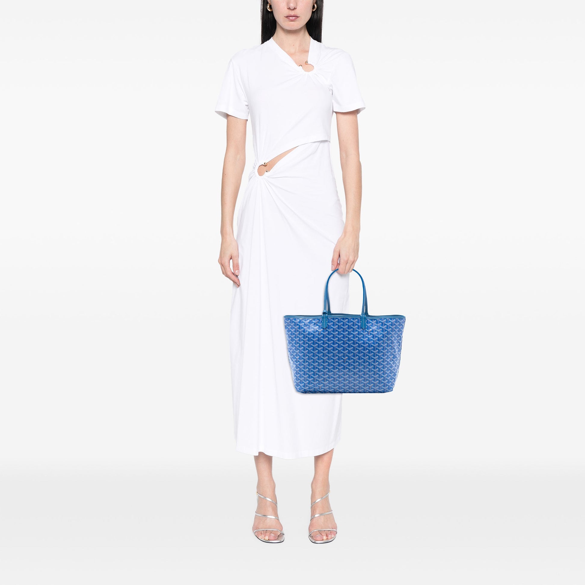 Goyard Goyardine Saint Louis PM