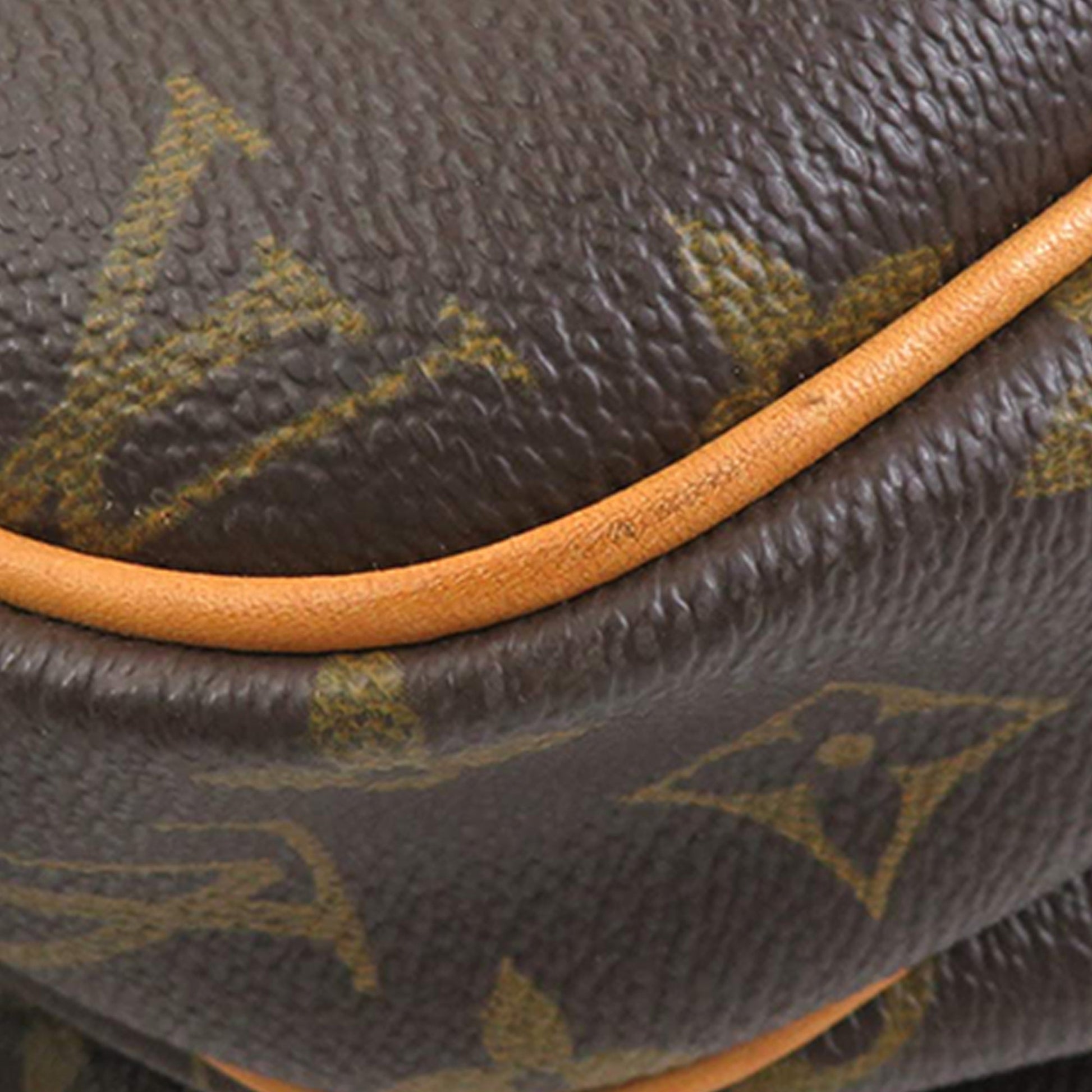 Louis Vuitton Monogram Reporter PM