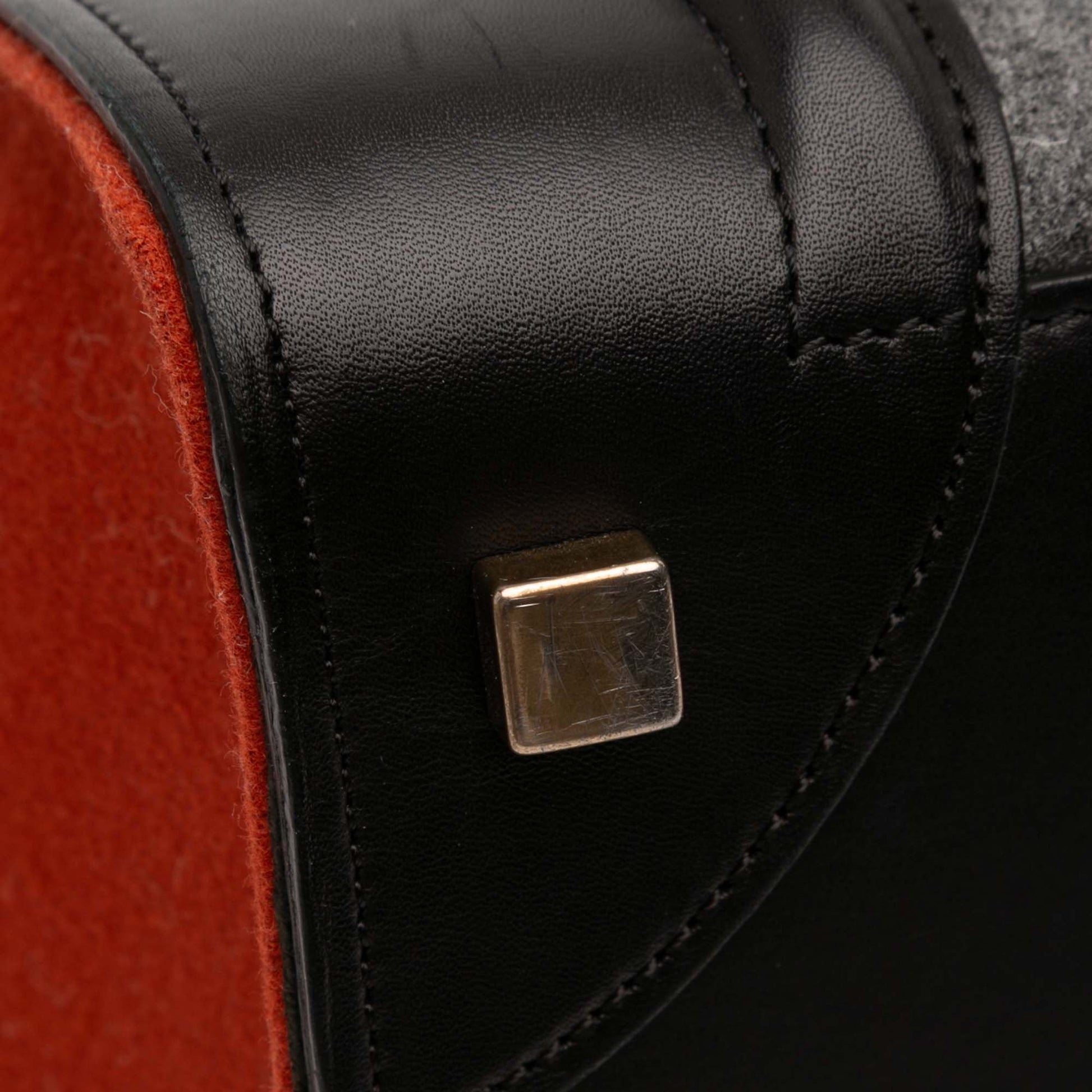 Celine Mini Tricolor Felt Wool and Calfskin Luggage Tote