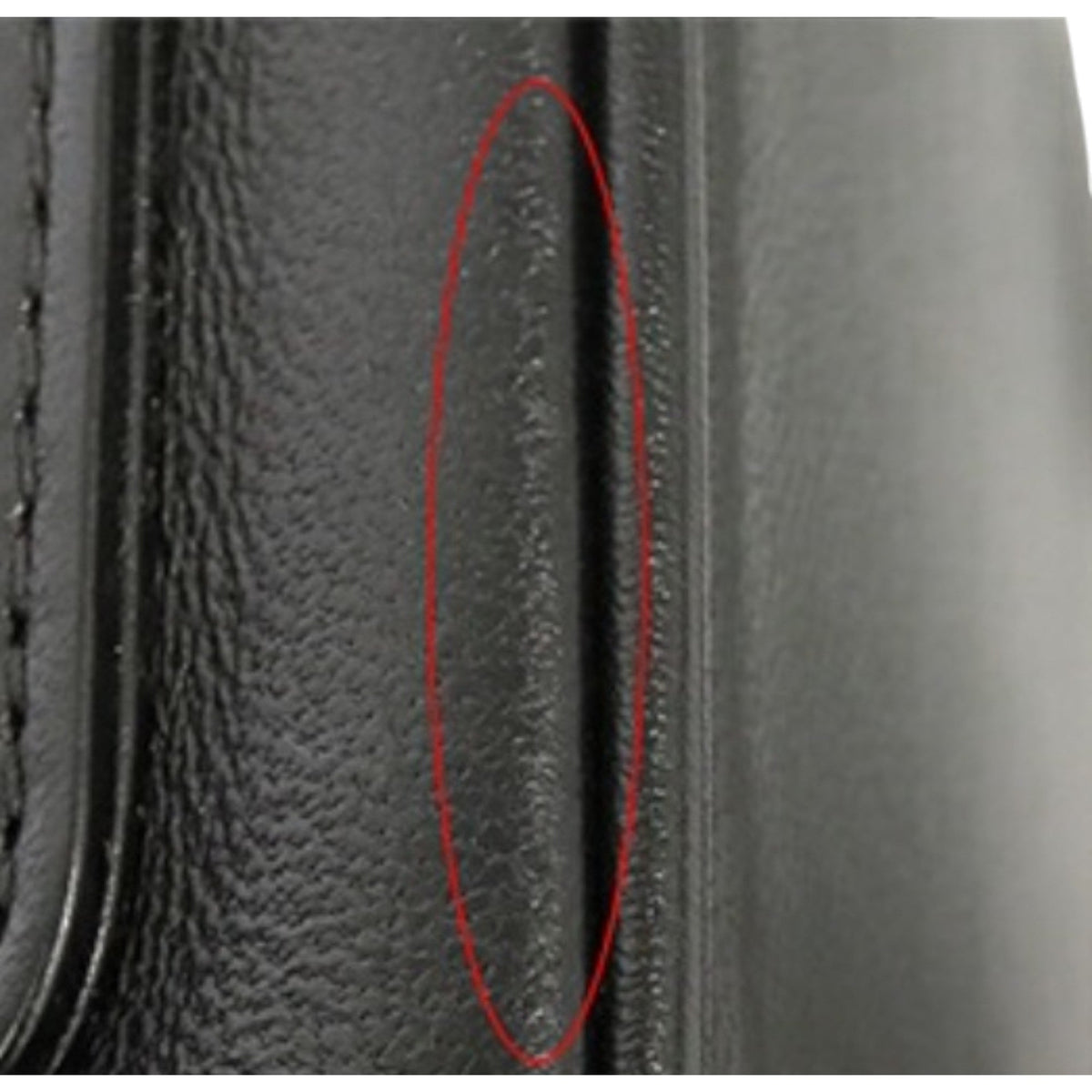 Chanel Lambskin CC Mania Camera Bag — Black