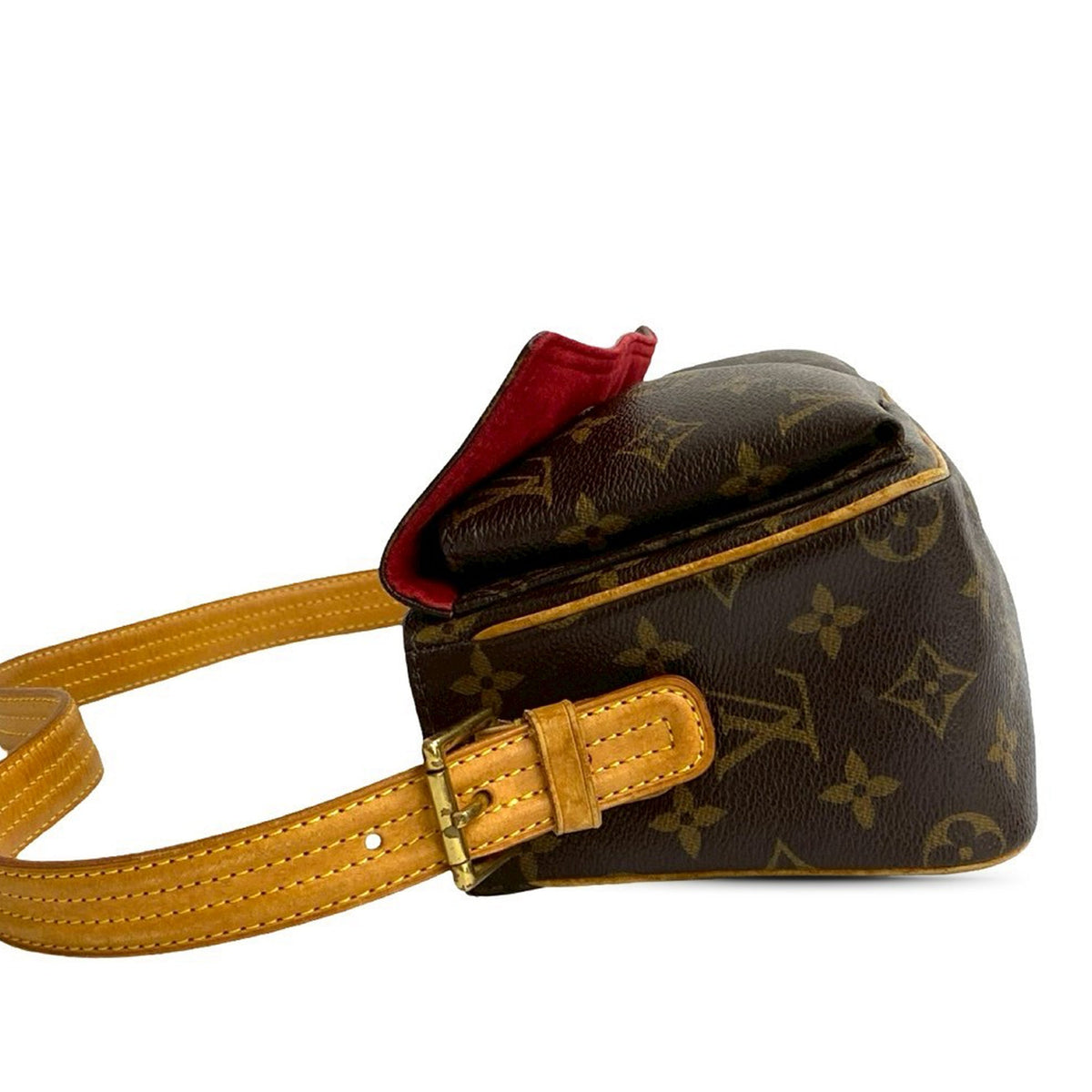 Louis Vuitton Monogram Viva Cite MM