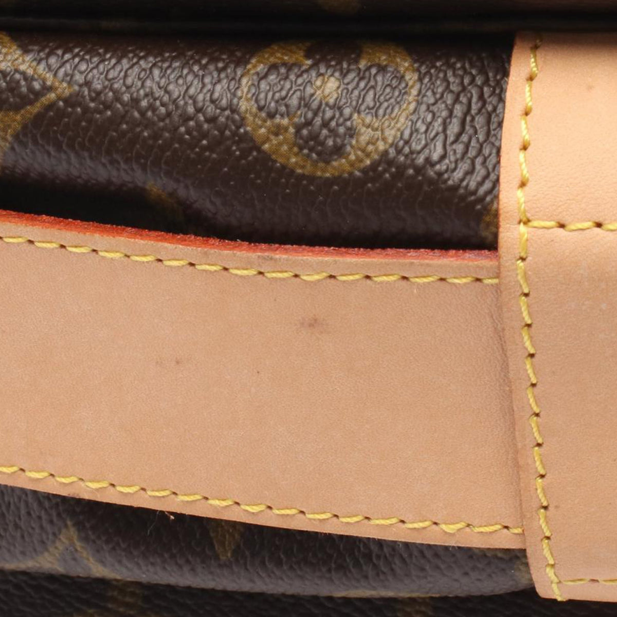 Louis Vuitton Monogram Naviglio