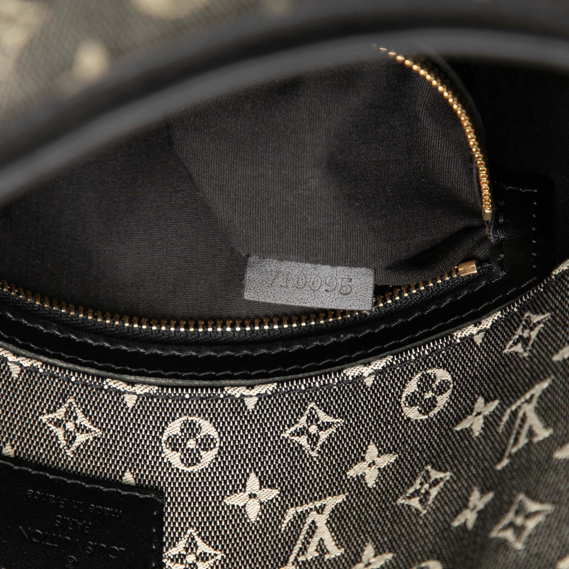 Louis Vuitton Monogram Mini Lin Besace Mary Kate