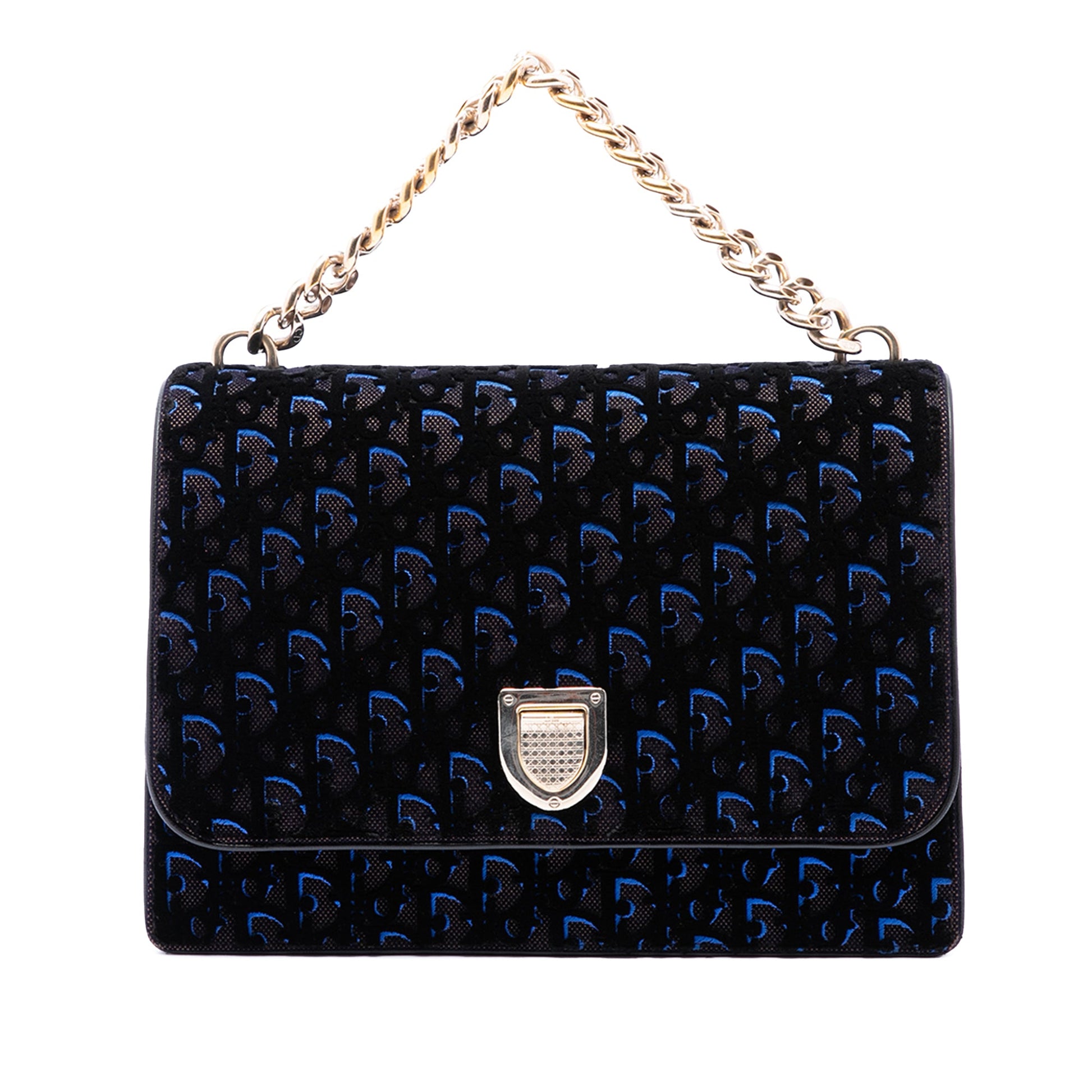 Dior Large Oblique Canvas and Velvet Diorama Flap