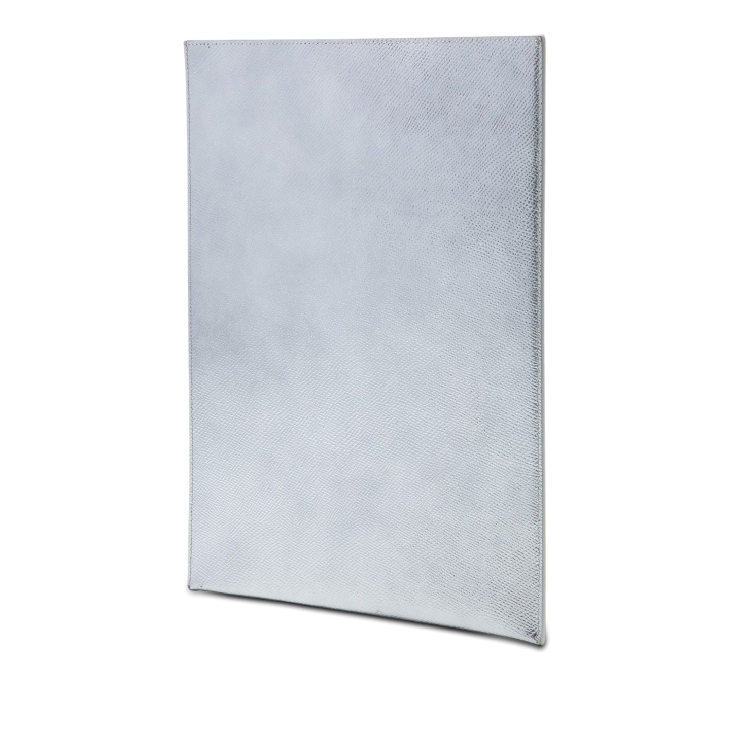 Celine Metallic Grained Calfskin Tablet Sleeve