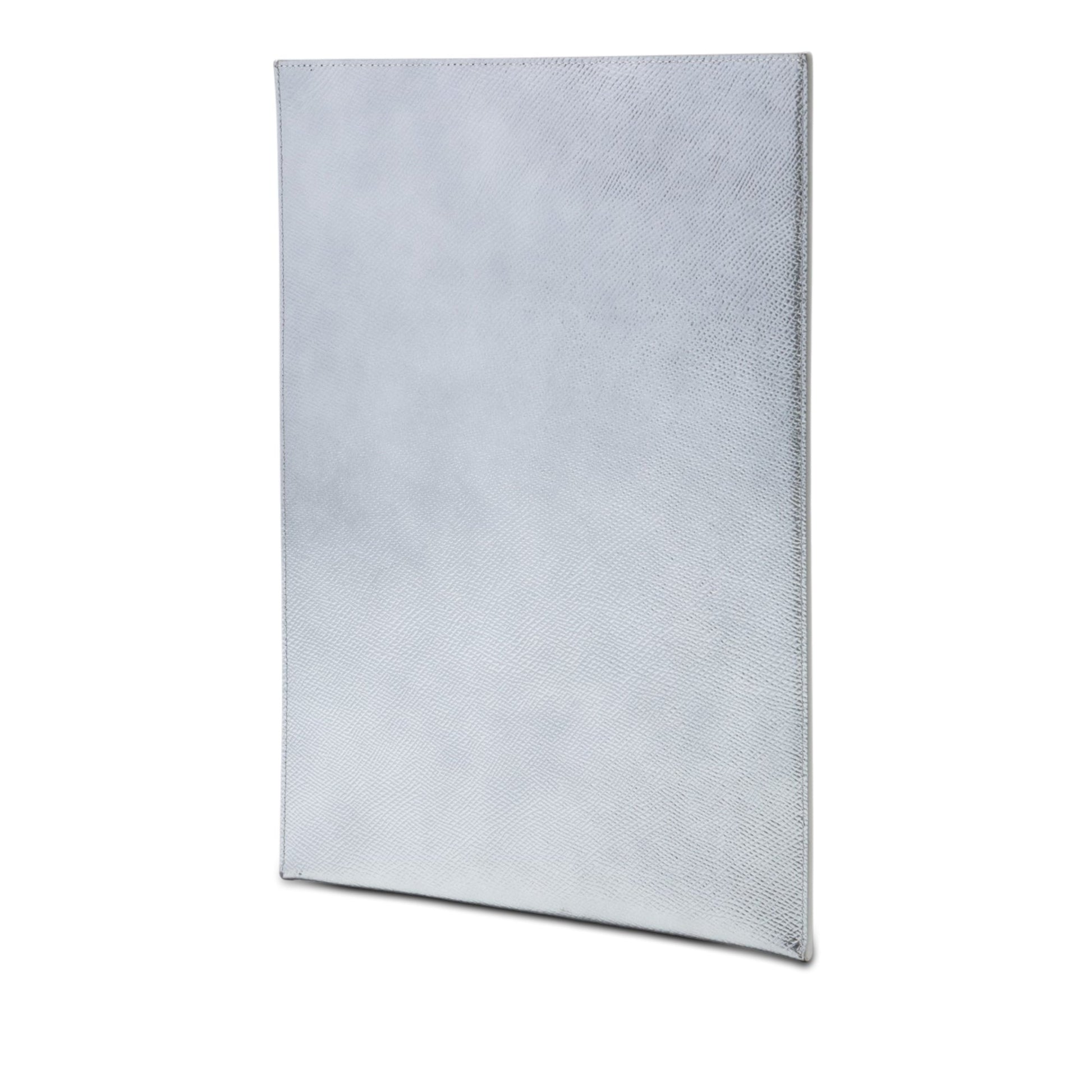 Celine Metallic Grained Calfskin Tablet Sleeve