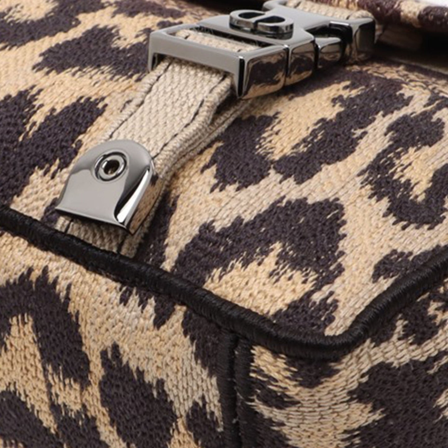 Mizza Small Embroidered Canvas Leopard DiorCamp Messenger Bag