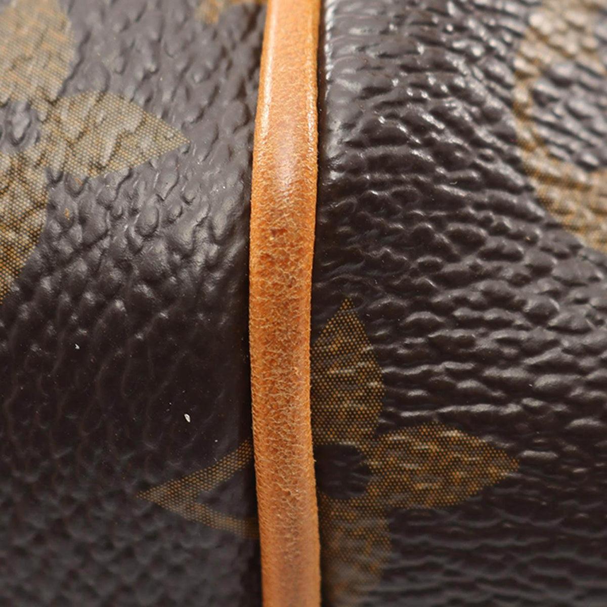 Louis Vuitton Monogram Totally PM