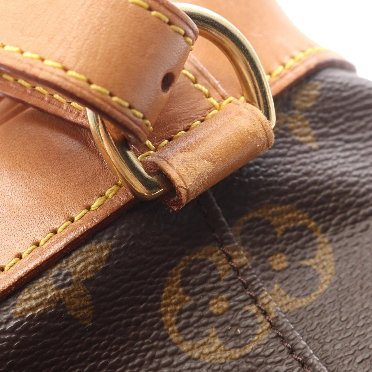 Louis Vuitton Monogram Montsouris MM