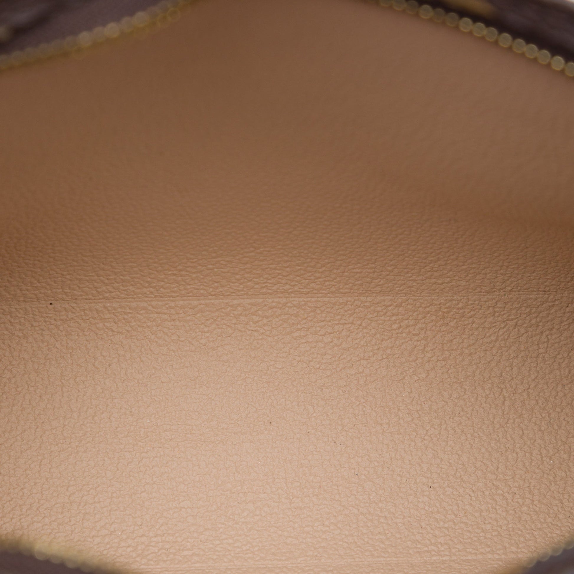 Louis Vuitton Monogram Toiletry Pouch 19