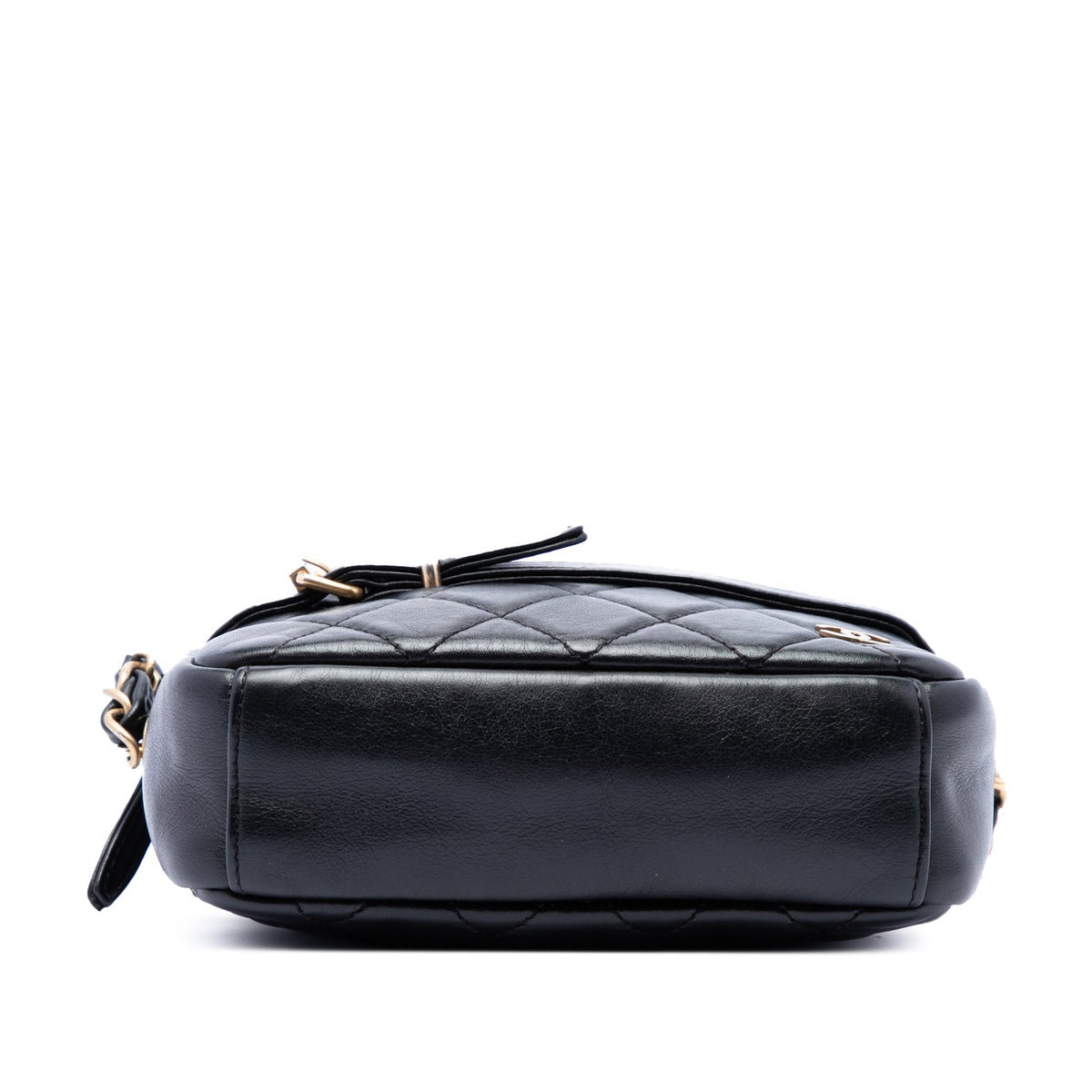 Chanel Small Quilted Lambskin Buckle Camera Bag
