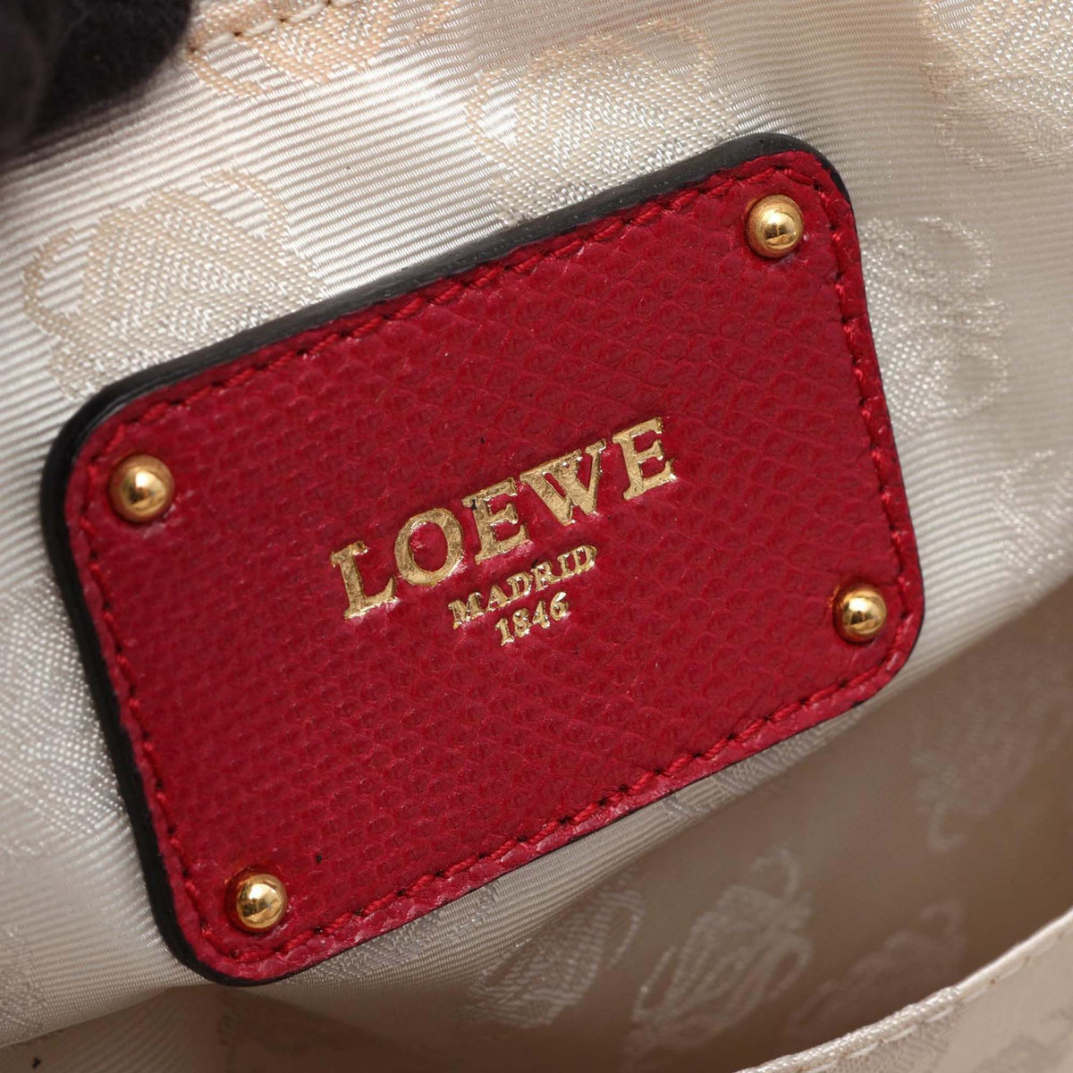 LOEWE Denim Amazona 50