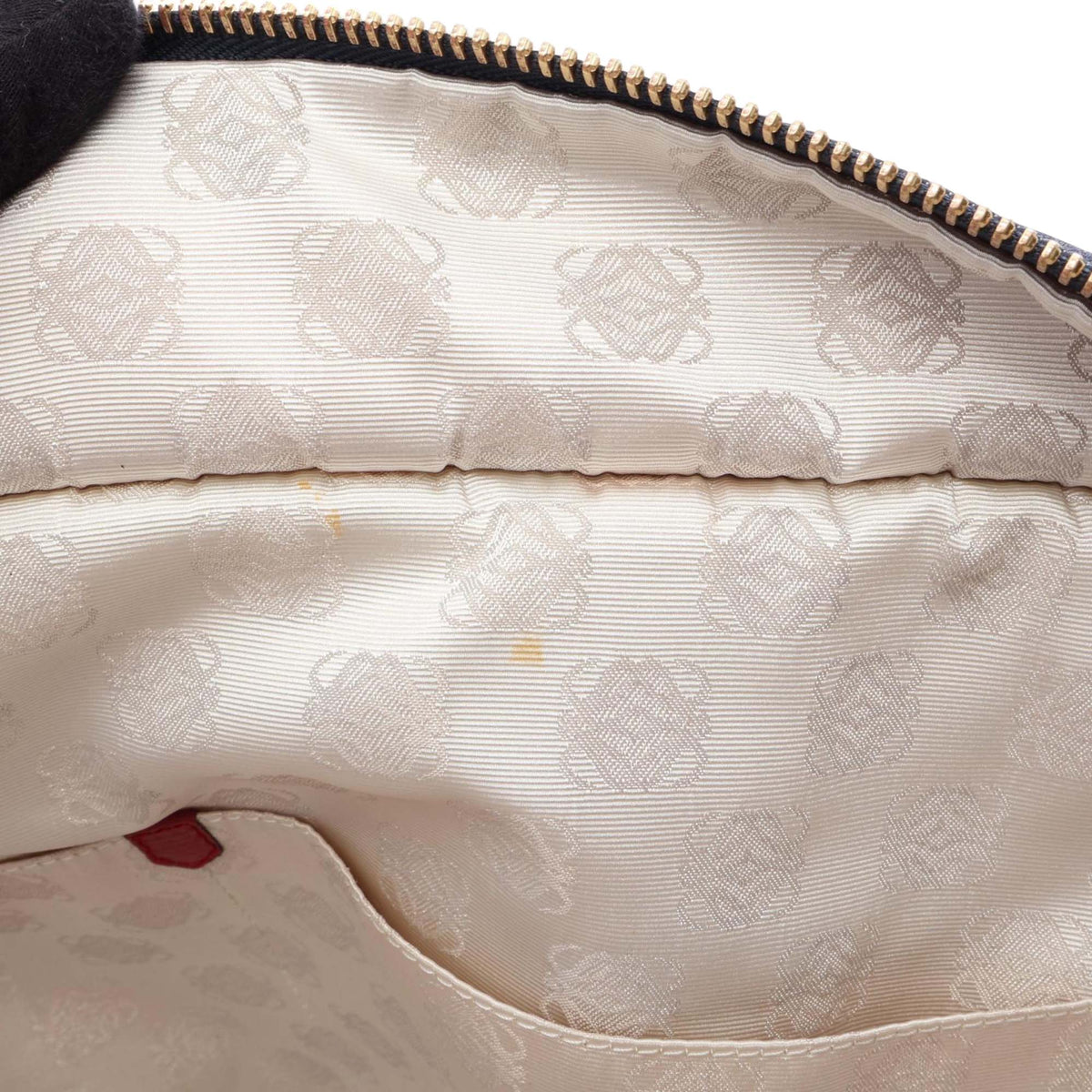 LOEWE Denim Amazona 50