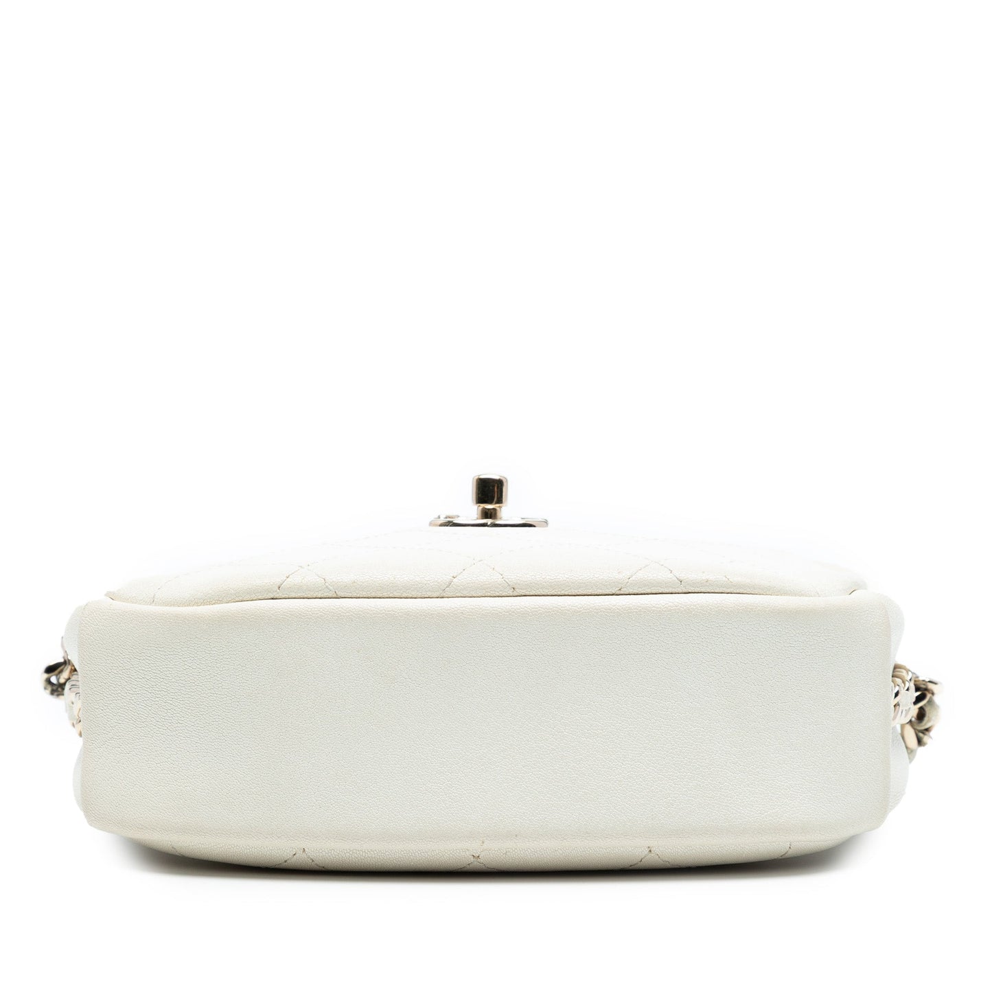 Chanel Small Quilted Goatskin Casual Trip Camera Bag