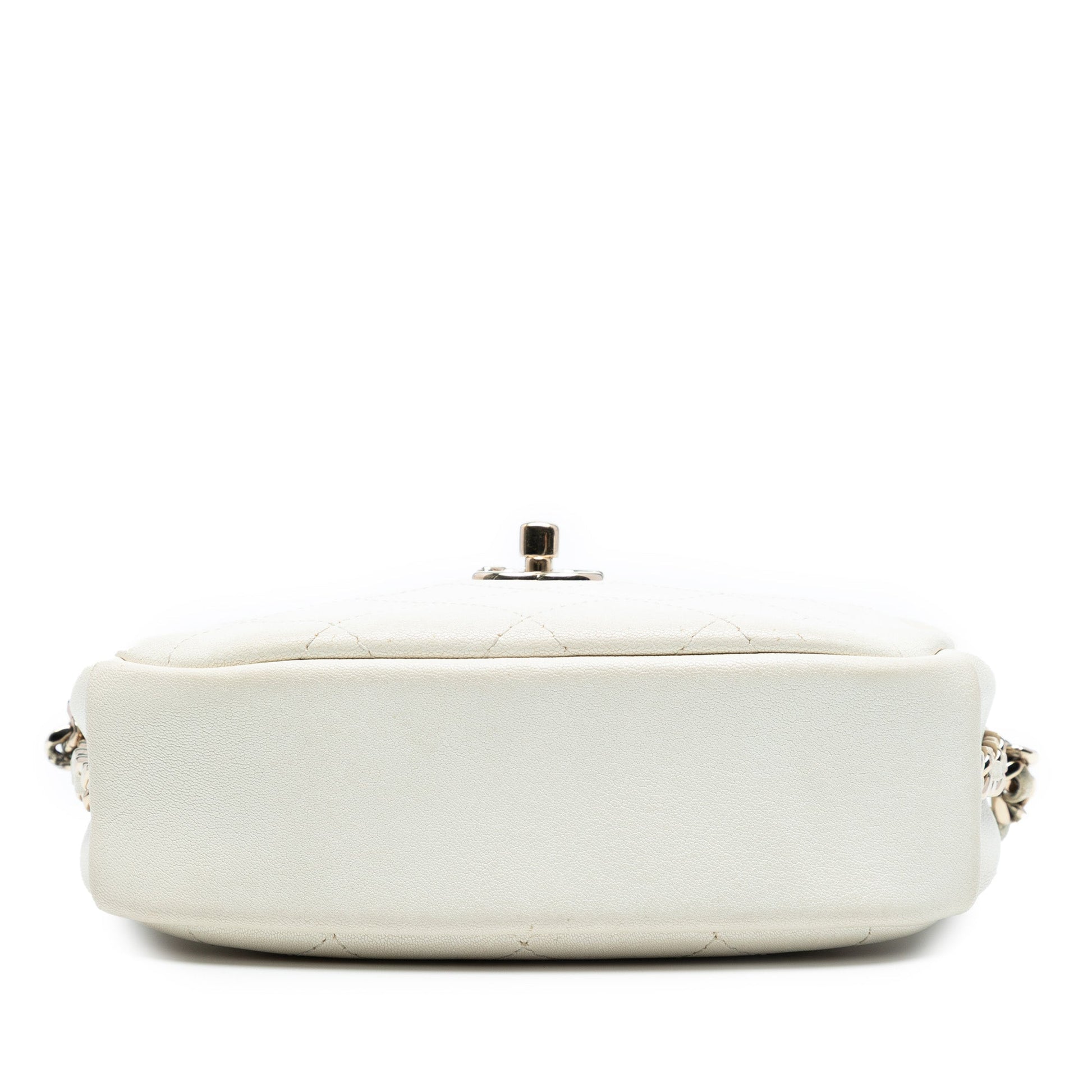 Chanel Small Quilted Goatskin Casual Trip Camera Bag