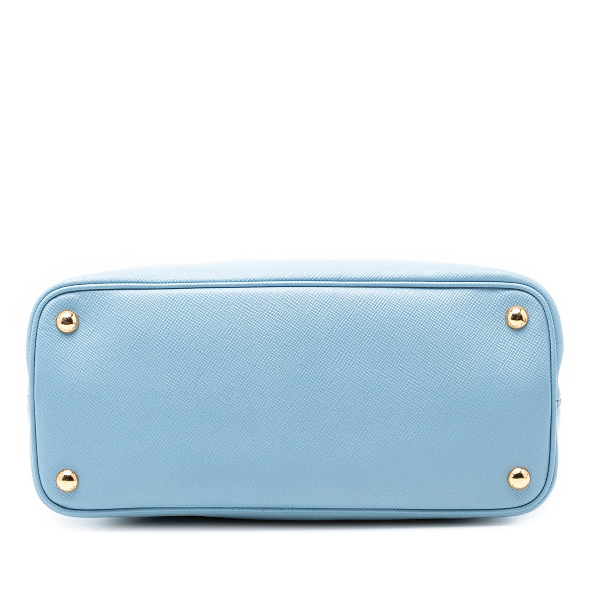 Small Bicolor Saffiano Cuir Double Satchel
