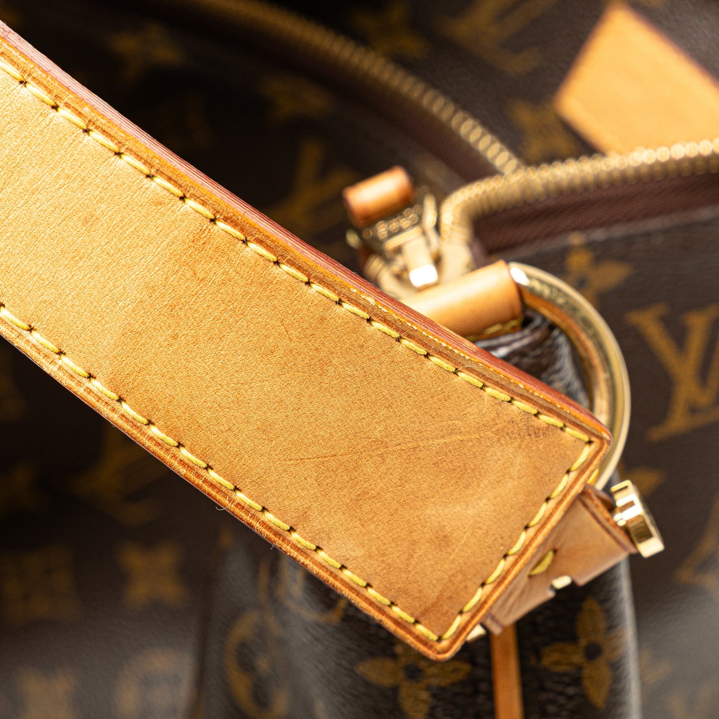 Louis Vuitton Monogram Sully MM
