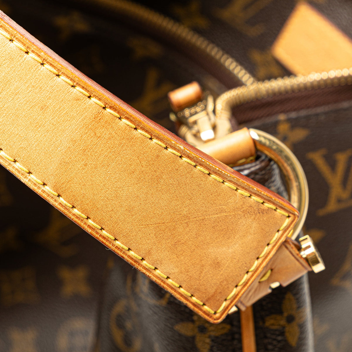 Louis Vuitton Monogram Sully MM