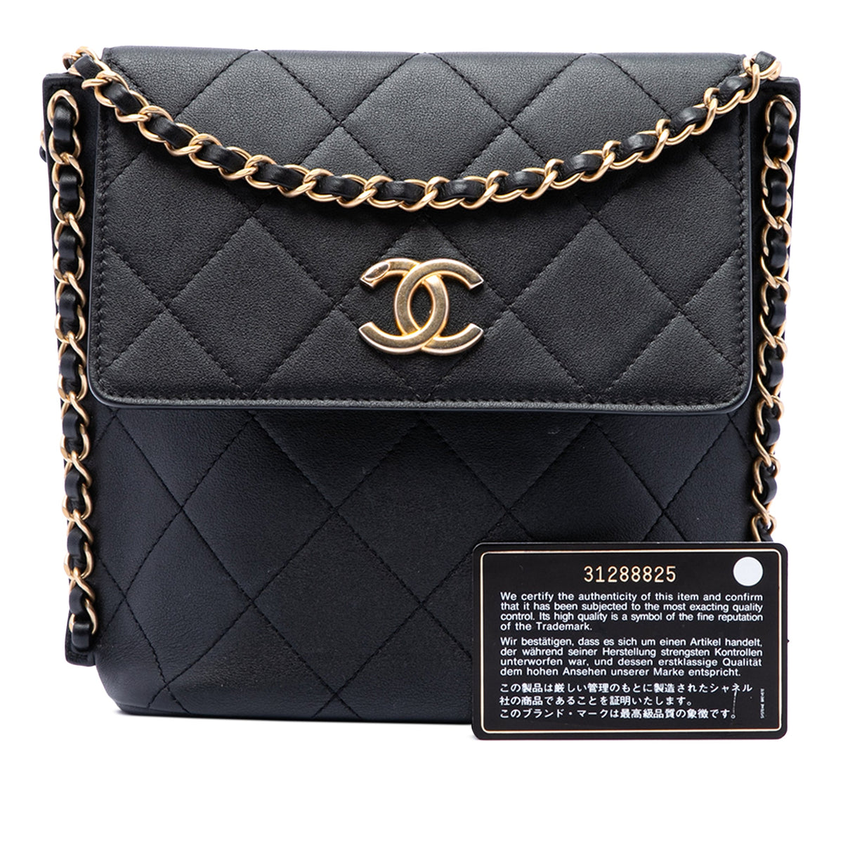 Chanel Small Quilted Calfskin Chain Hobo Flap