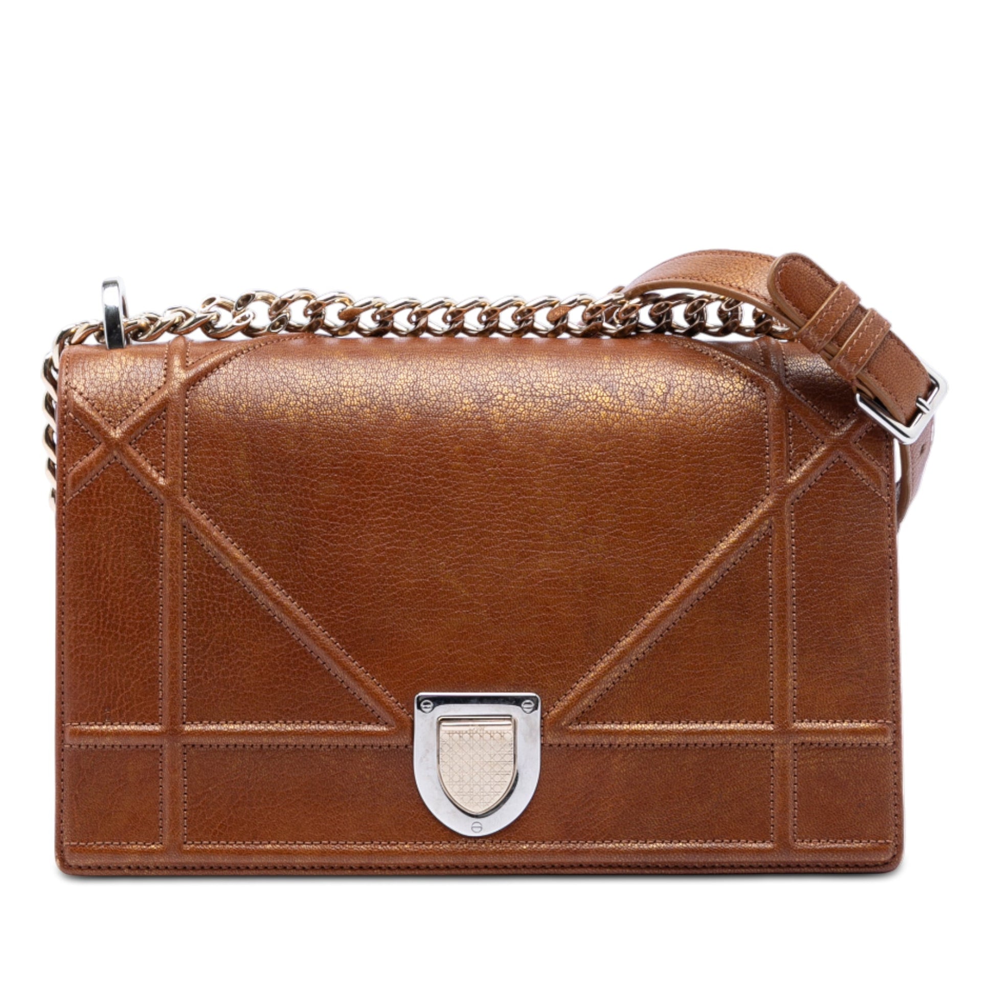 Dior Medium Goatskin Diorama Flap