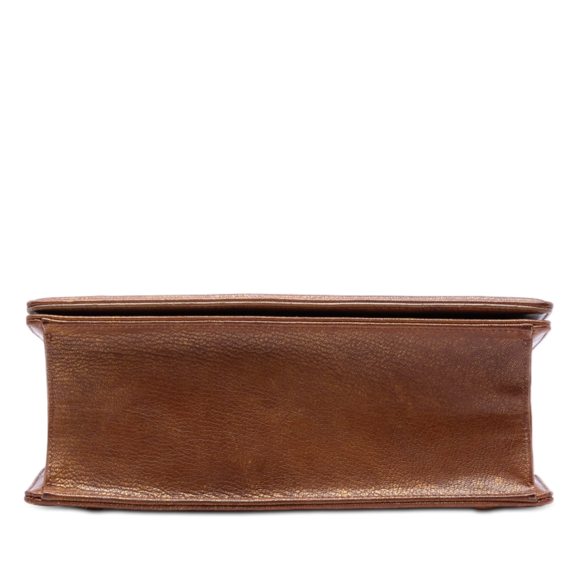Dior Medium Goatskin Diorama Flap