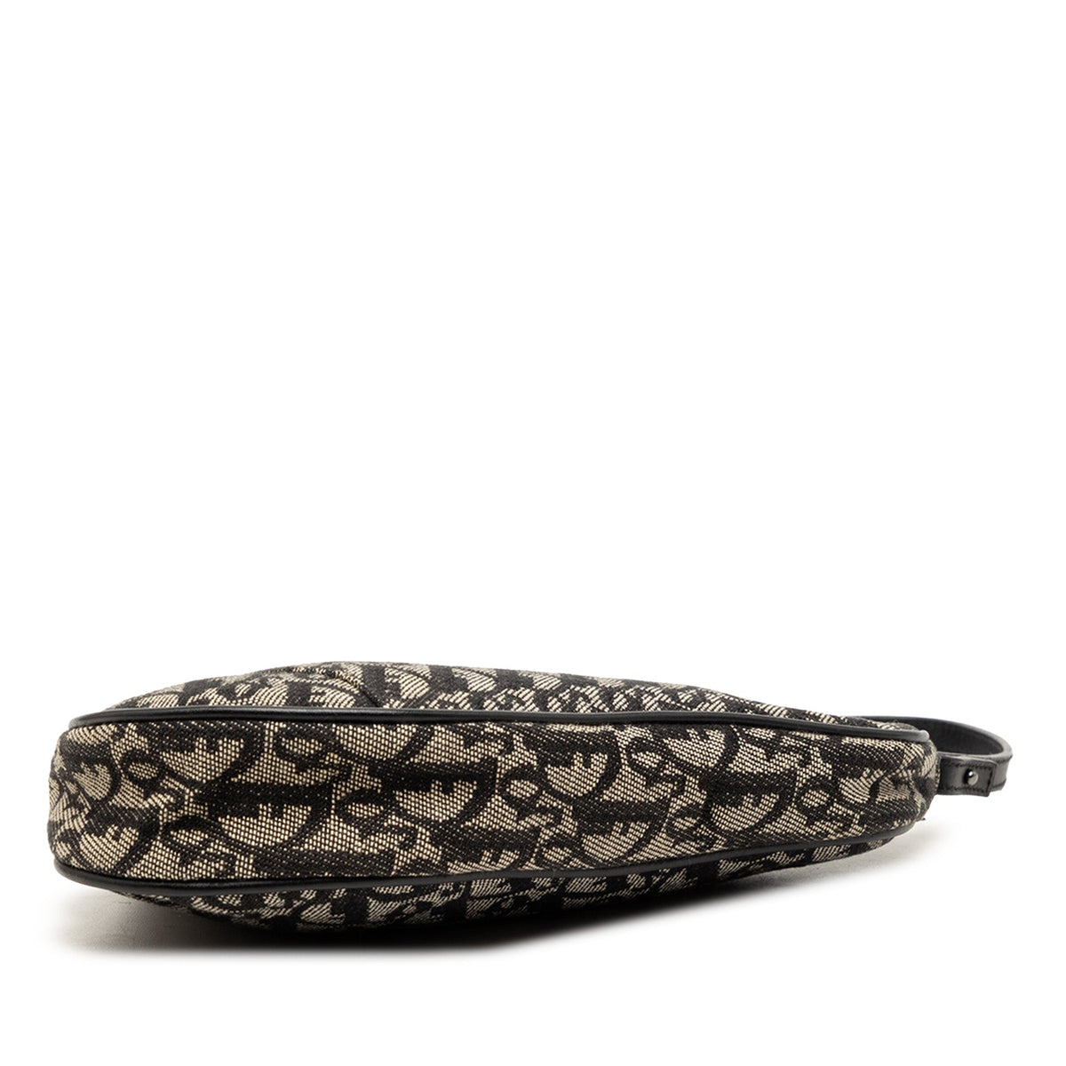 Dior Mini Diorissimo Canvas Saddle Pochette