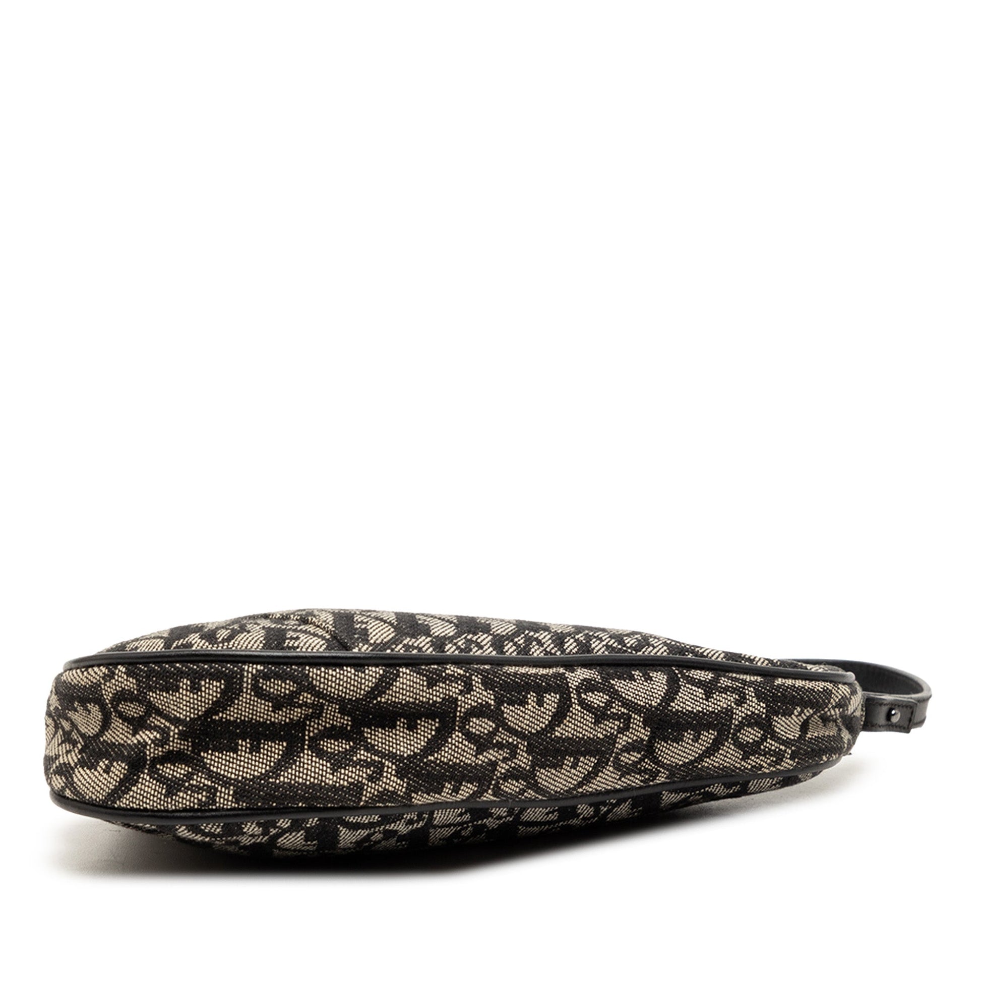 Dior Mini Diorissimo Canvas Saddle Pochette