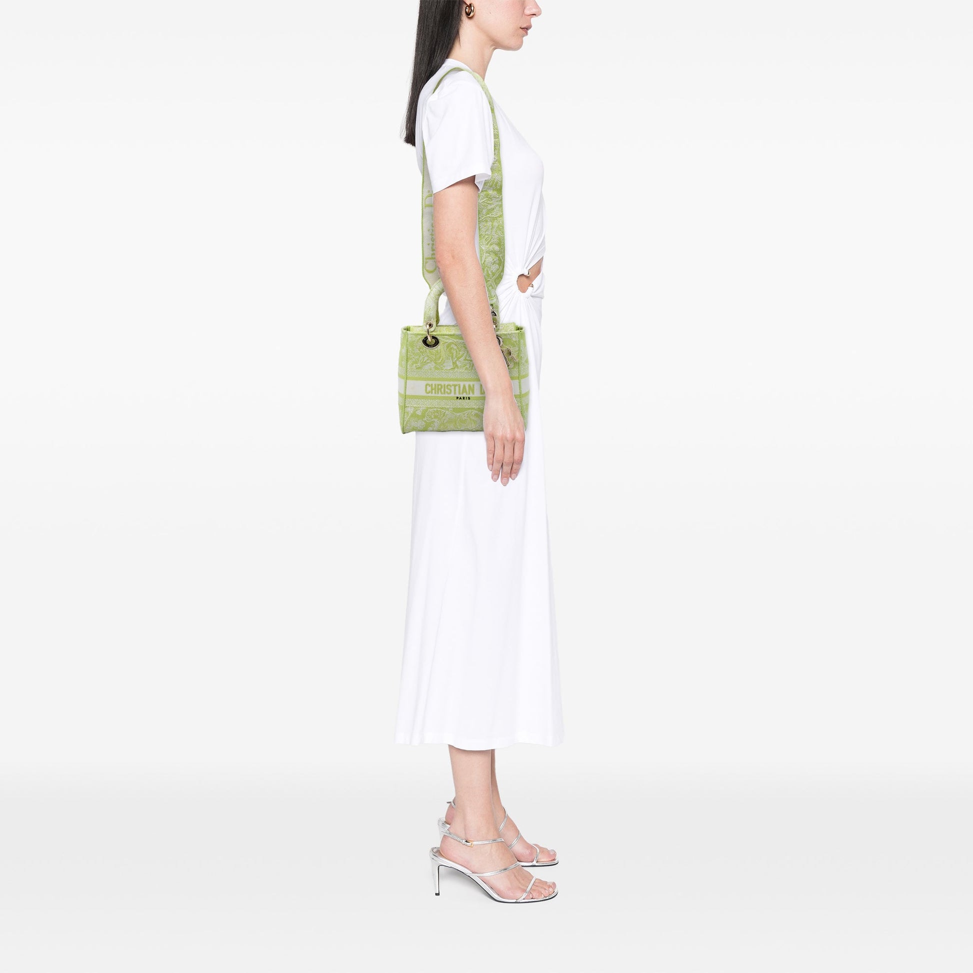 Dior Medium Embroidered Canvas Toile de Jouy Lady D Lite