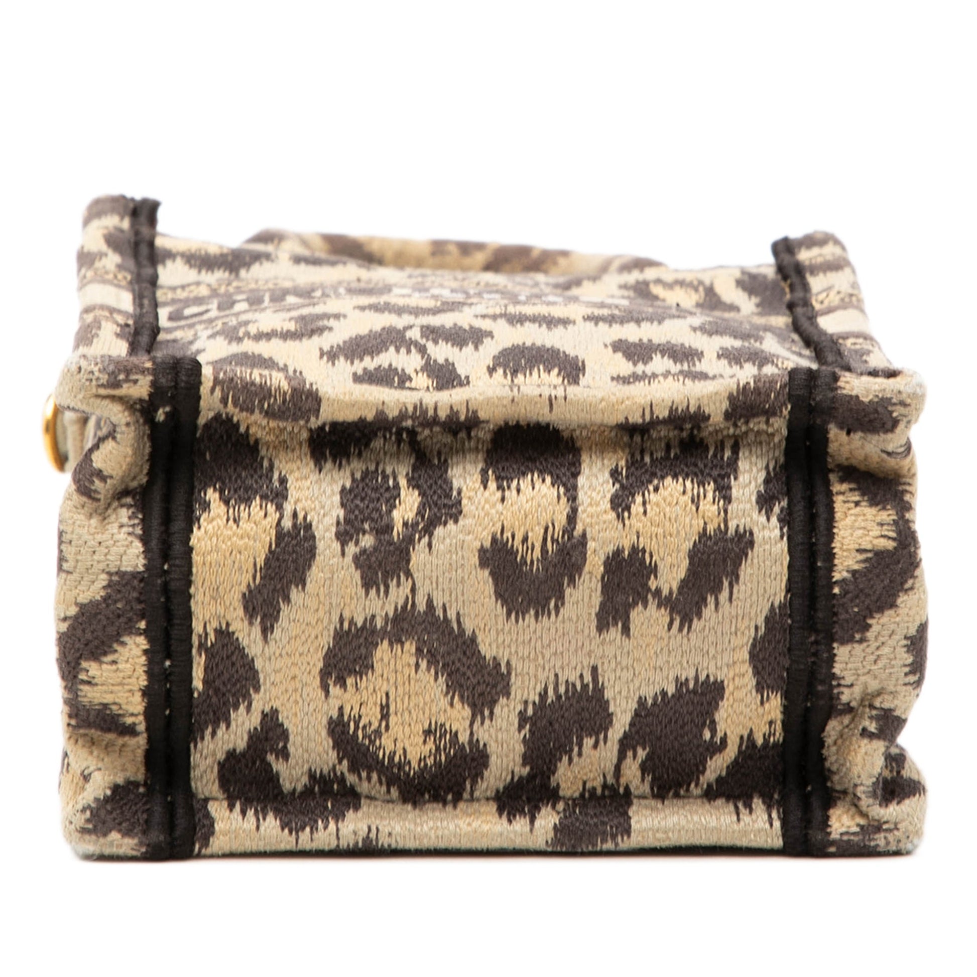Dior Mizza Mini Embroidered Canvas Leopard Vertical Book Tote