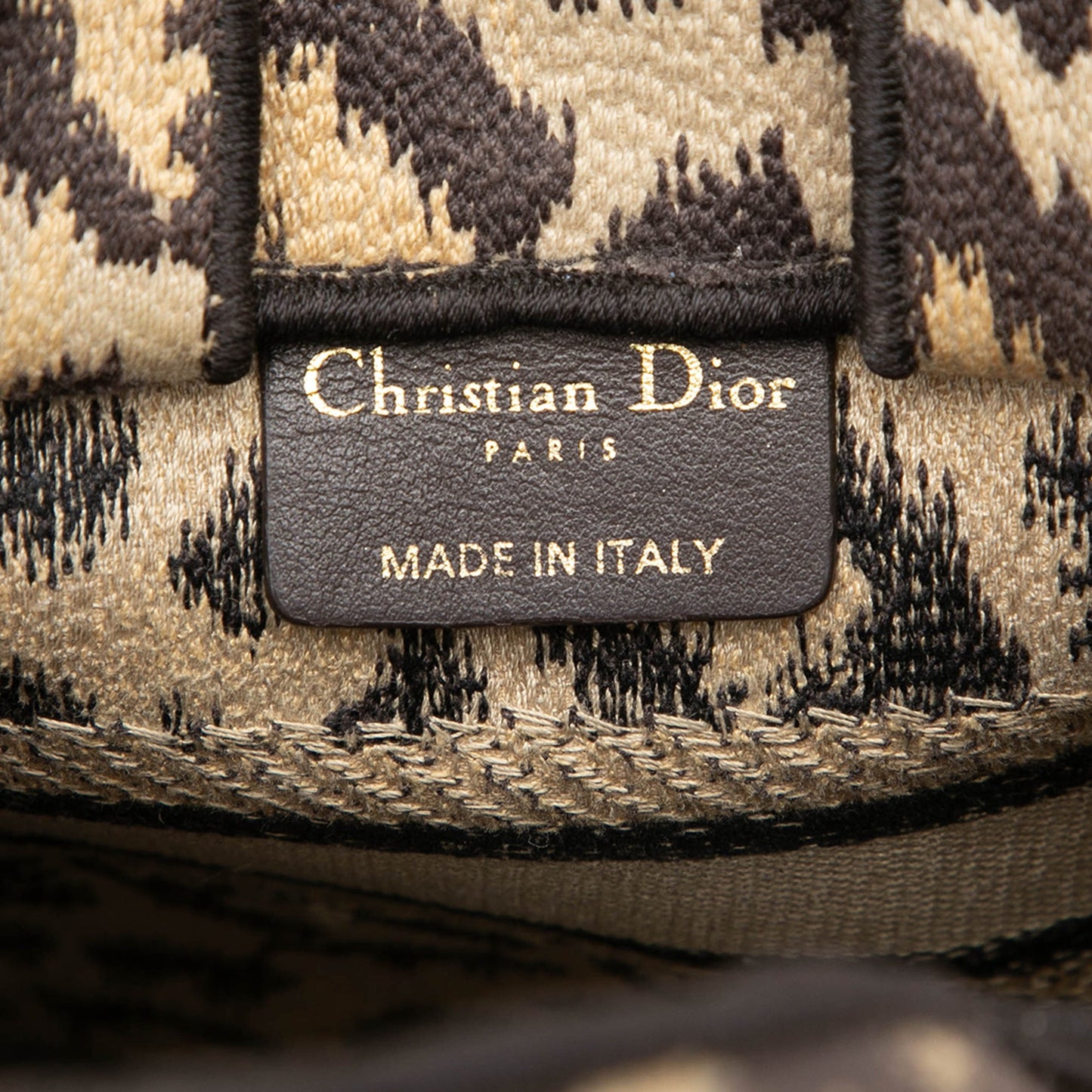 Dior Mizza Mini Embroidered Canvas Leopard Vertical Book Tote