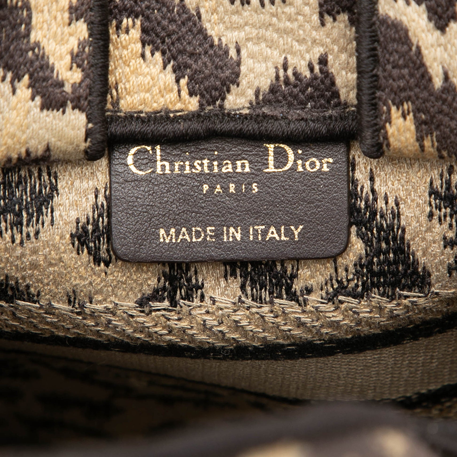 Dior Mizza Mini Embroidered Canvas Leopard Vertical Book Tote