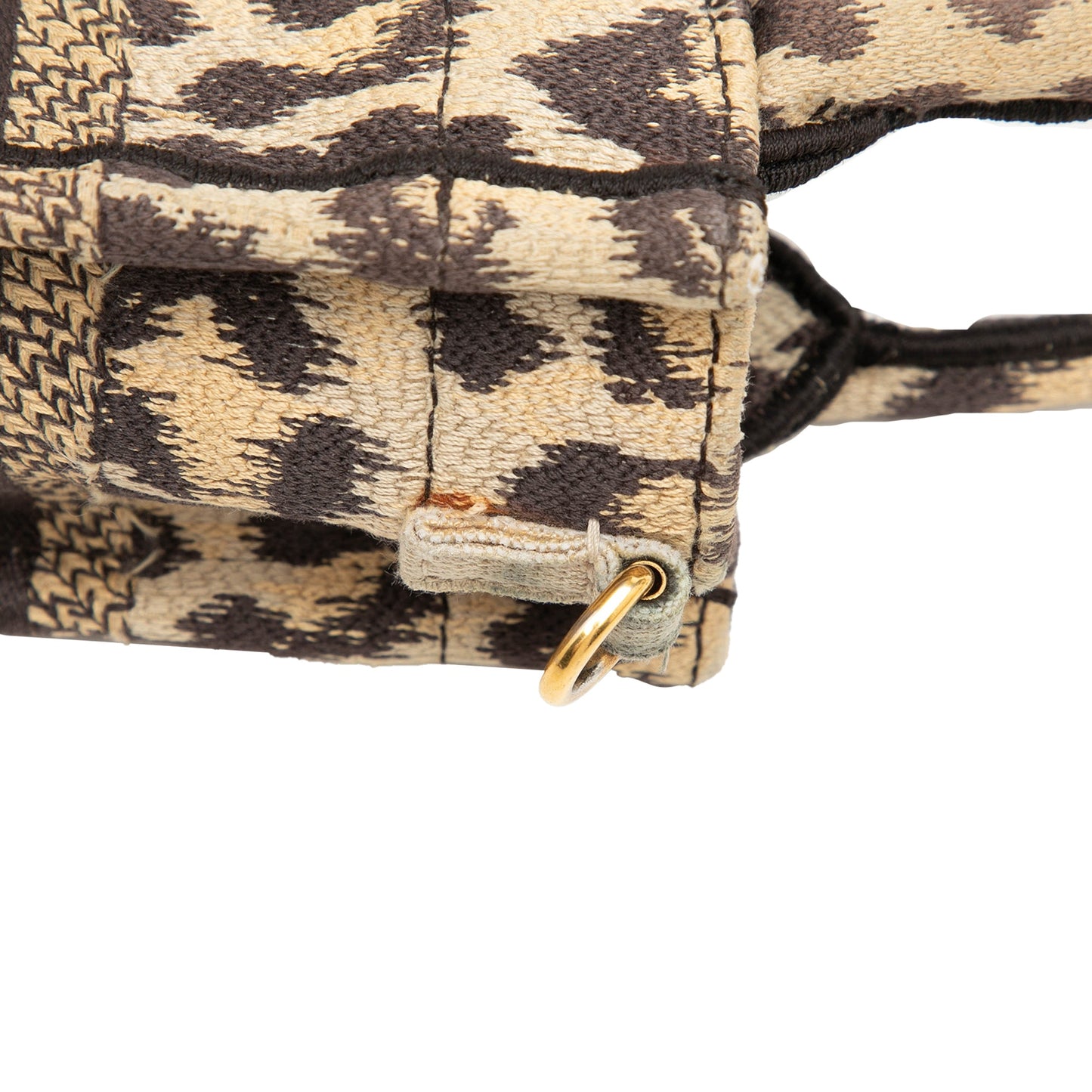 Dior Mizza Mini Embroidered Canvas Leopard Vertical Book Tote