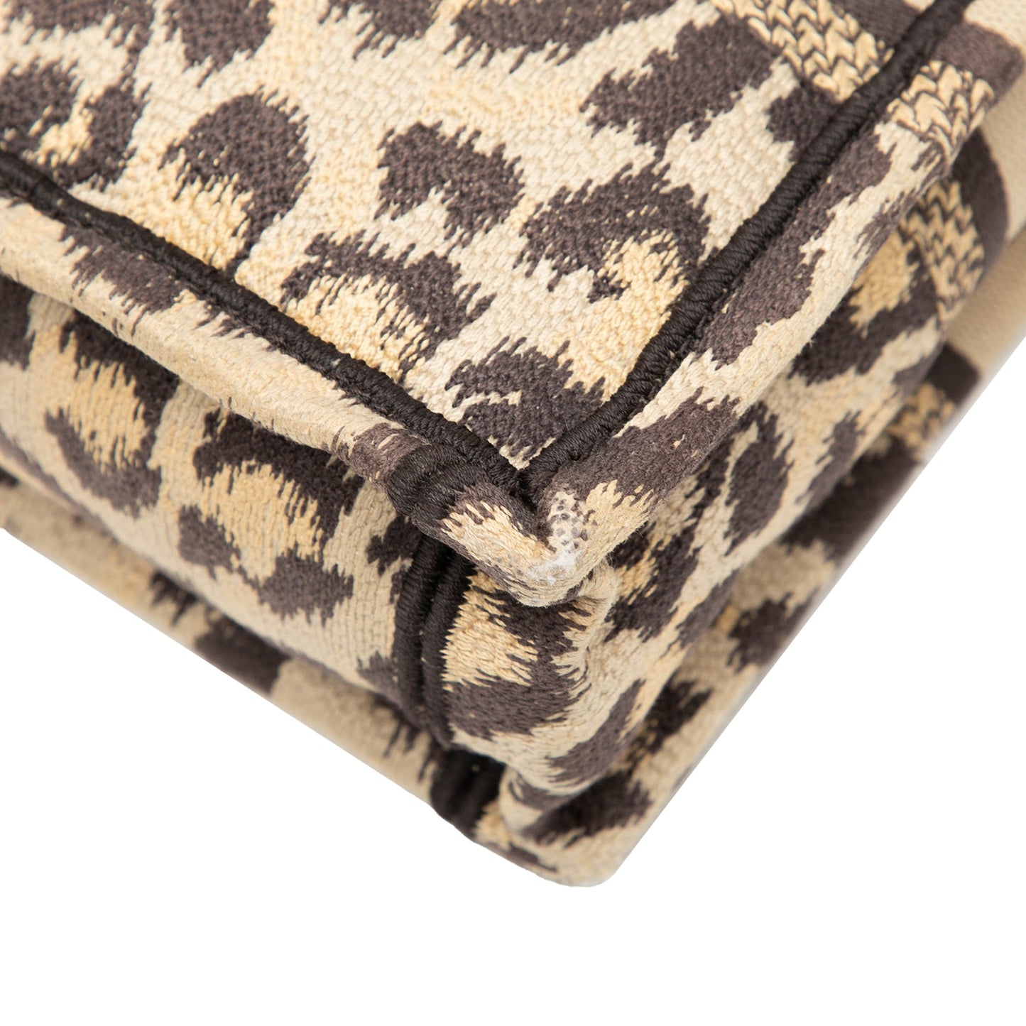 Dior Mizza Mini Embroidered Canvas Leopard Vertical Book Tote