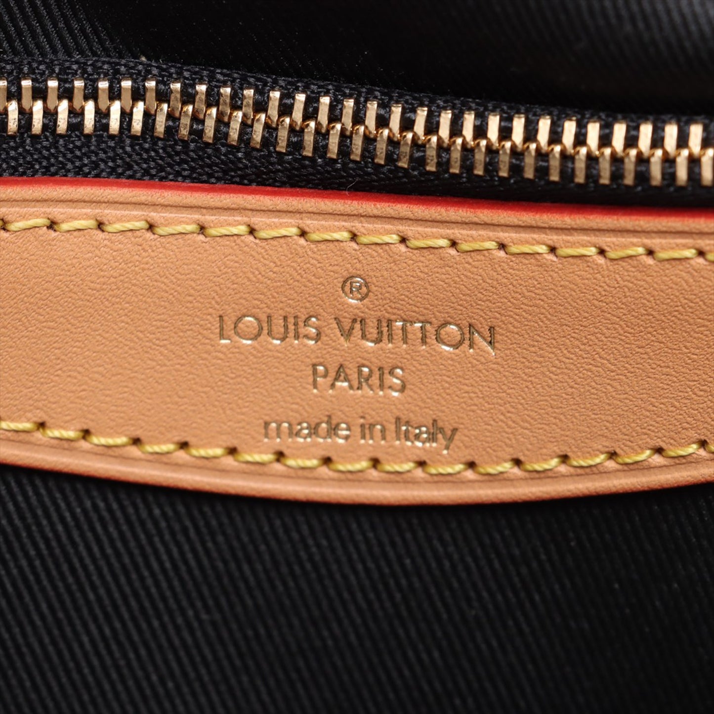 Louis Vuitton Monogram Diane