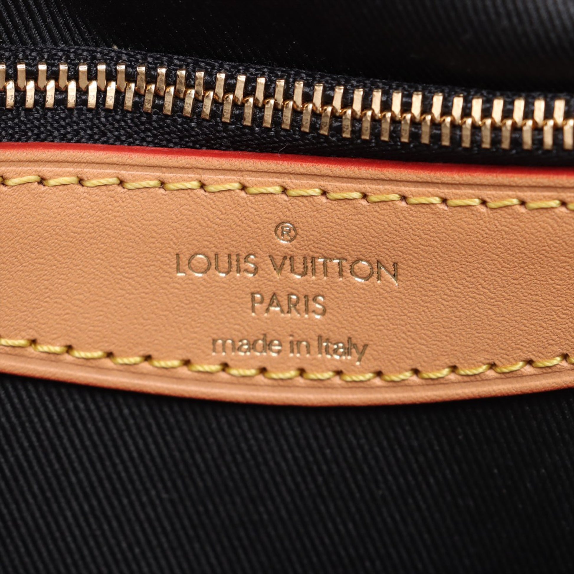 Louis Vuitton Monogram Diane