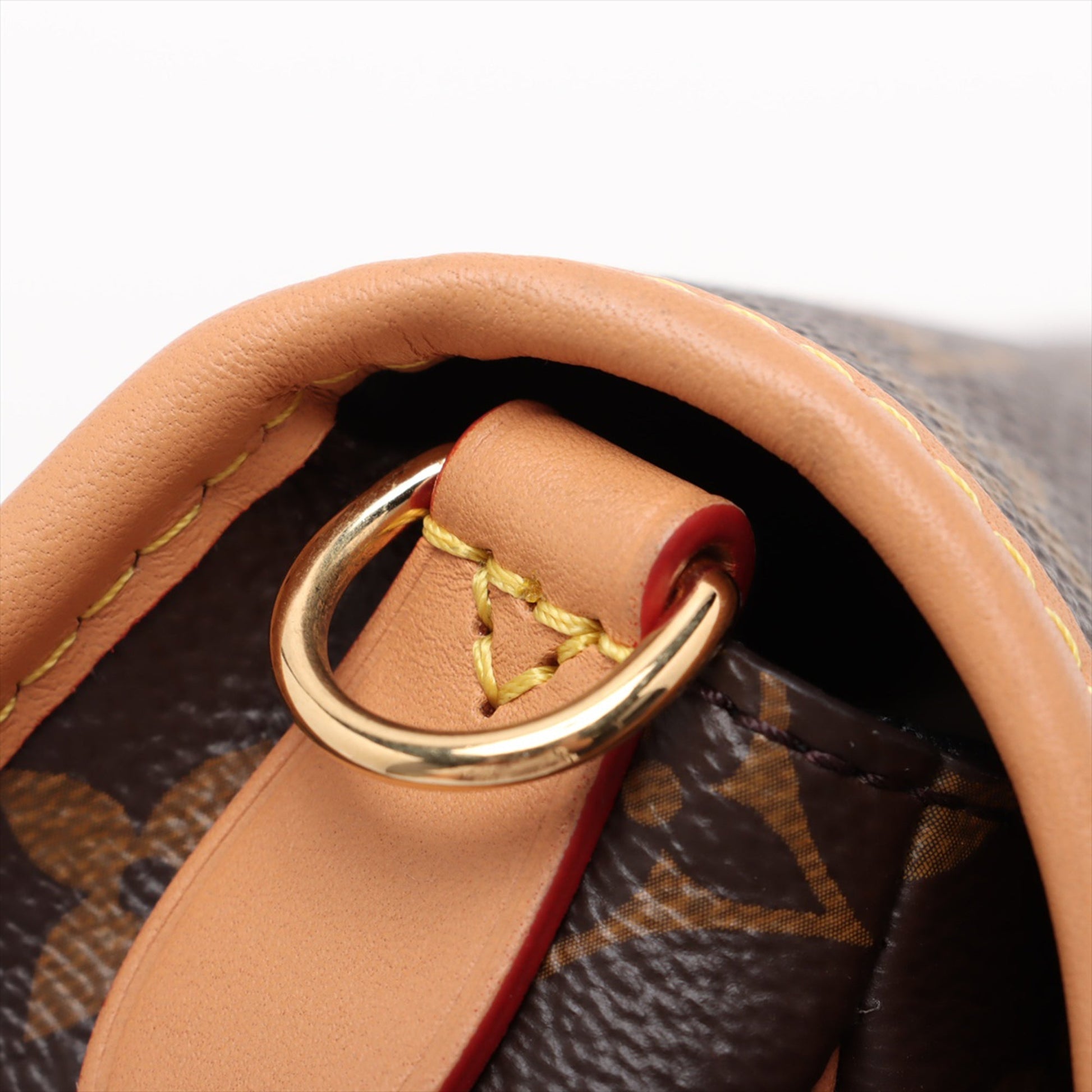Louis Vuitton Monogram Diane
