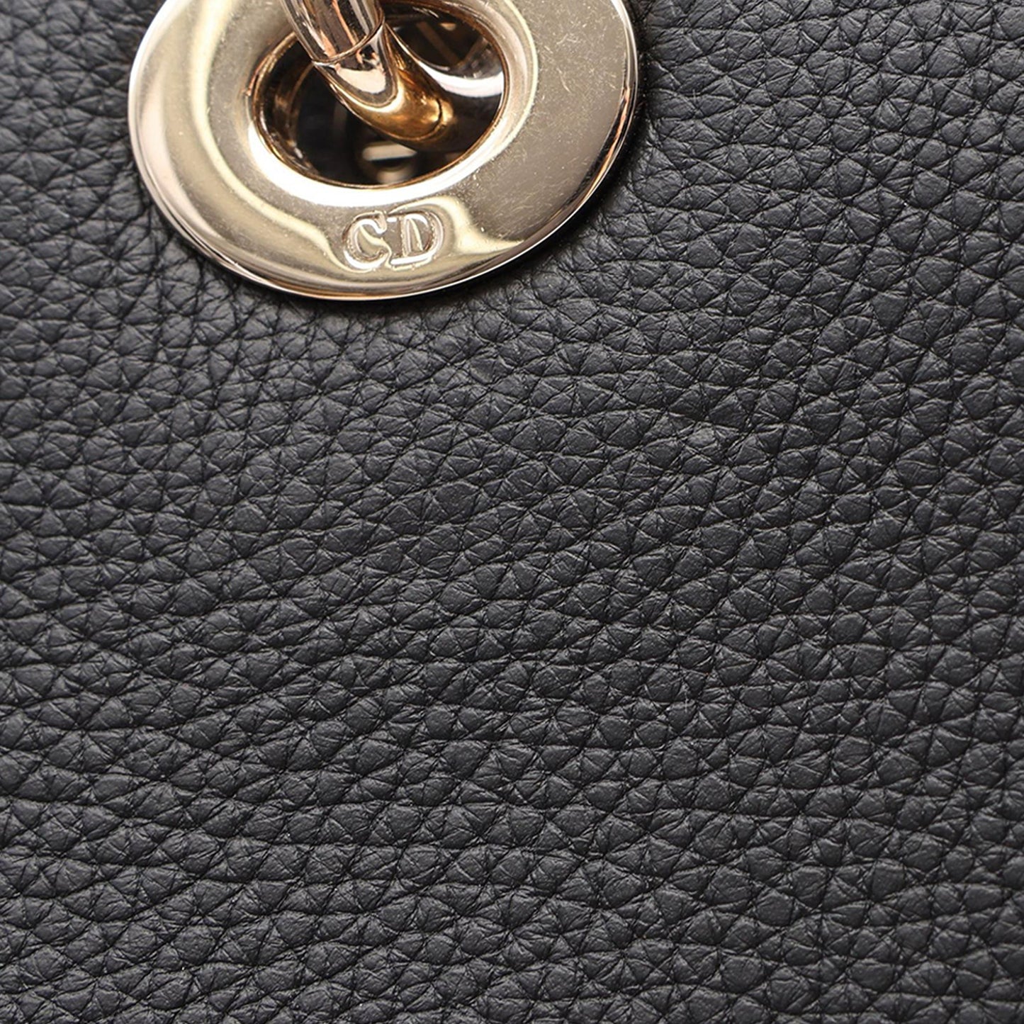 Dior Grained Calfskin My ABCDior Lady D Sire