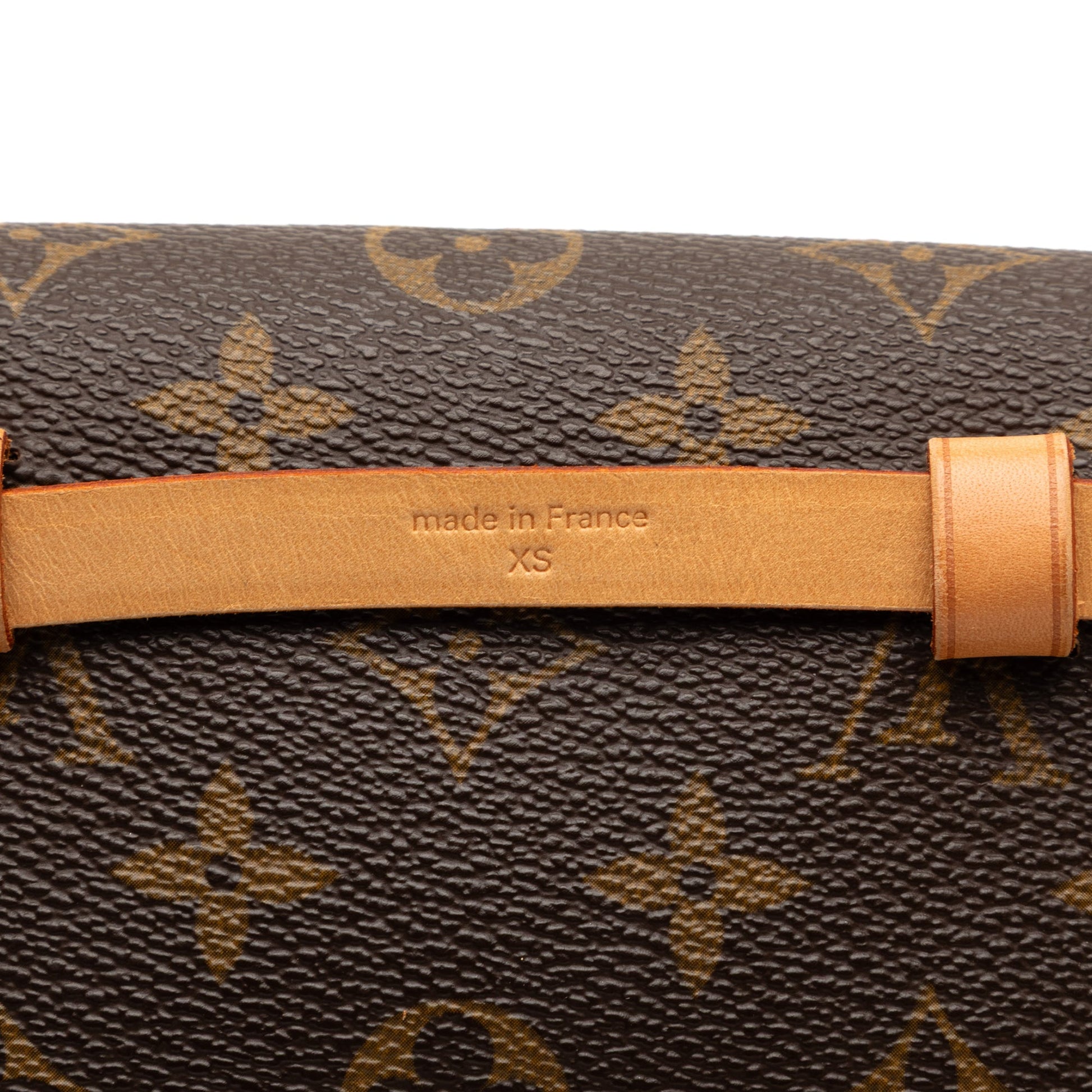 Louis Vuitton Monogram Pochette Florentine