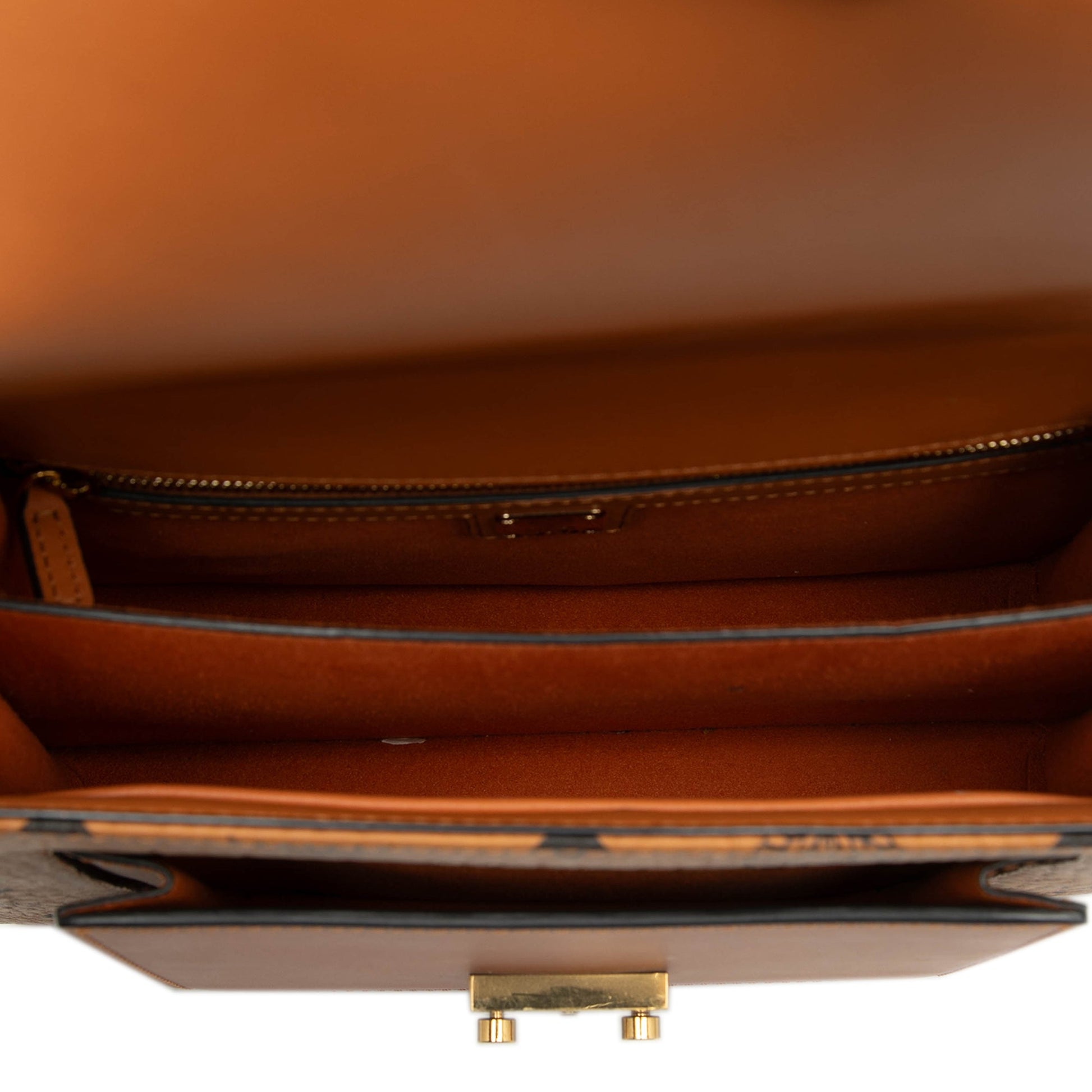 Medium Visetos Coated Canvas Patricia Pocket Top Handle Bag