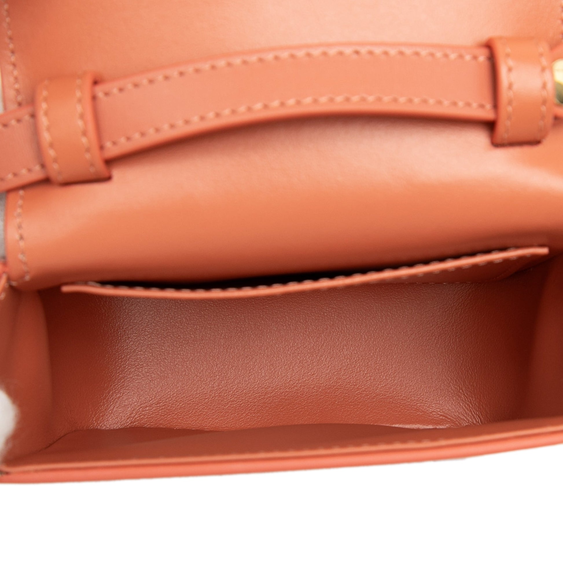Celine Mini Shiny Calfskin Triomphe Crossbody