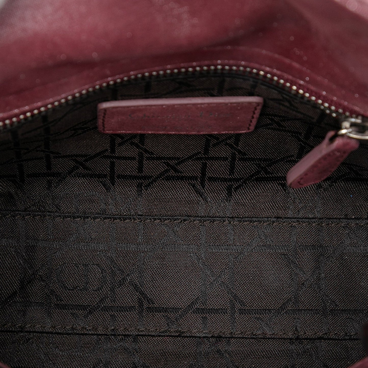 Dior Mini Iridescent Lambskin Cannage Lady Dior