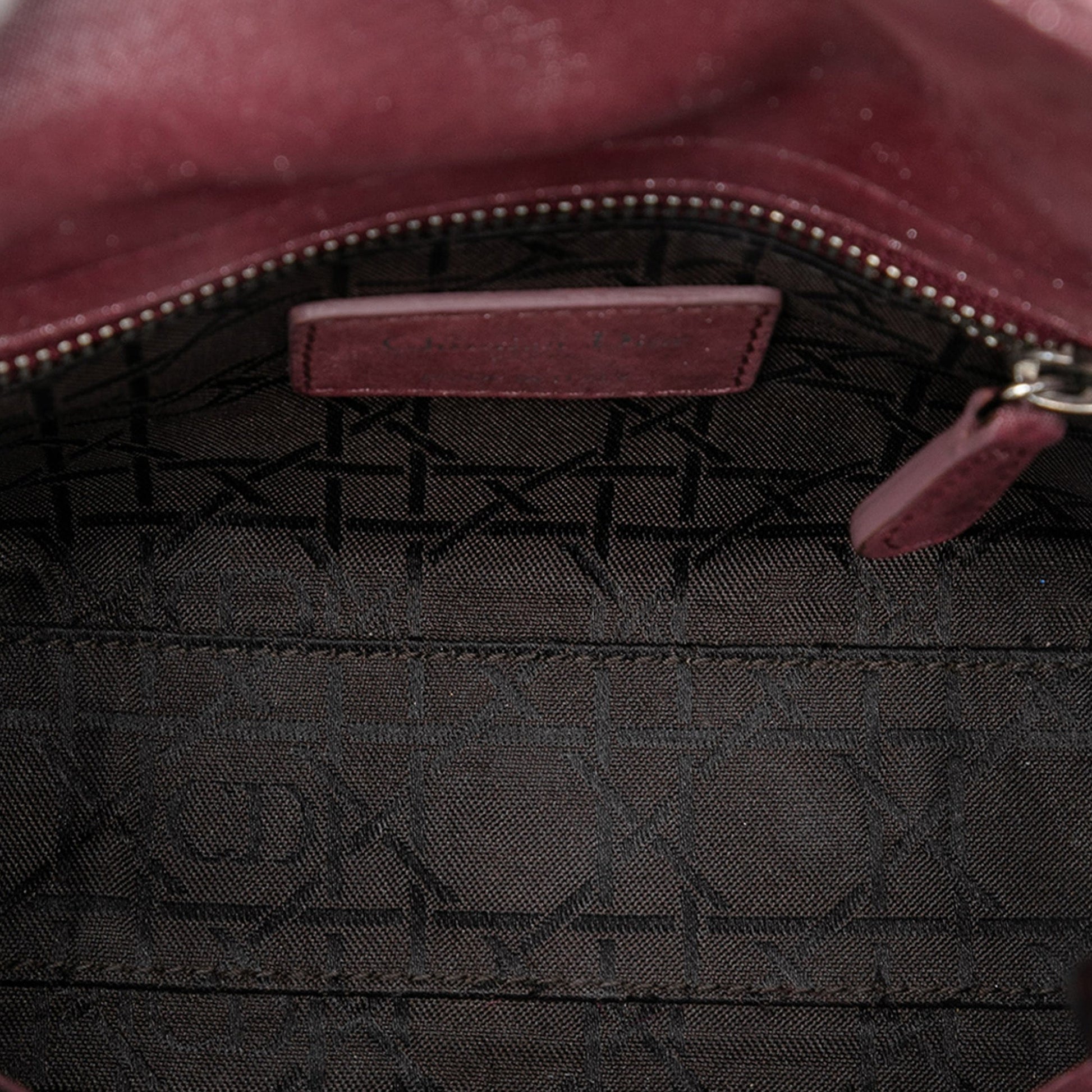 Dior Mini Iridescent Lambskin Cannage Lady Dior