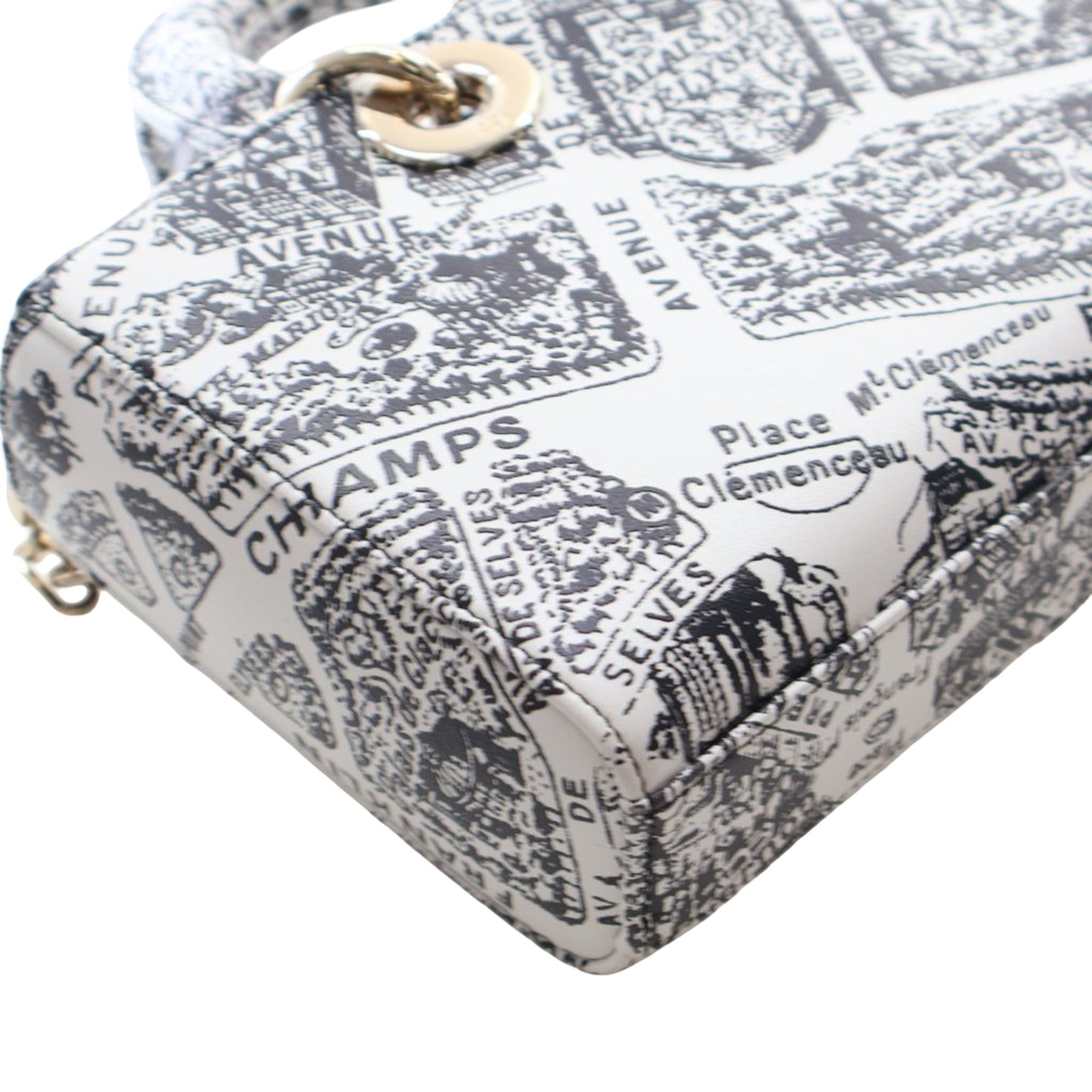 Dior Medium Calfskin Plan De Paris Printed Lady D Joy