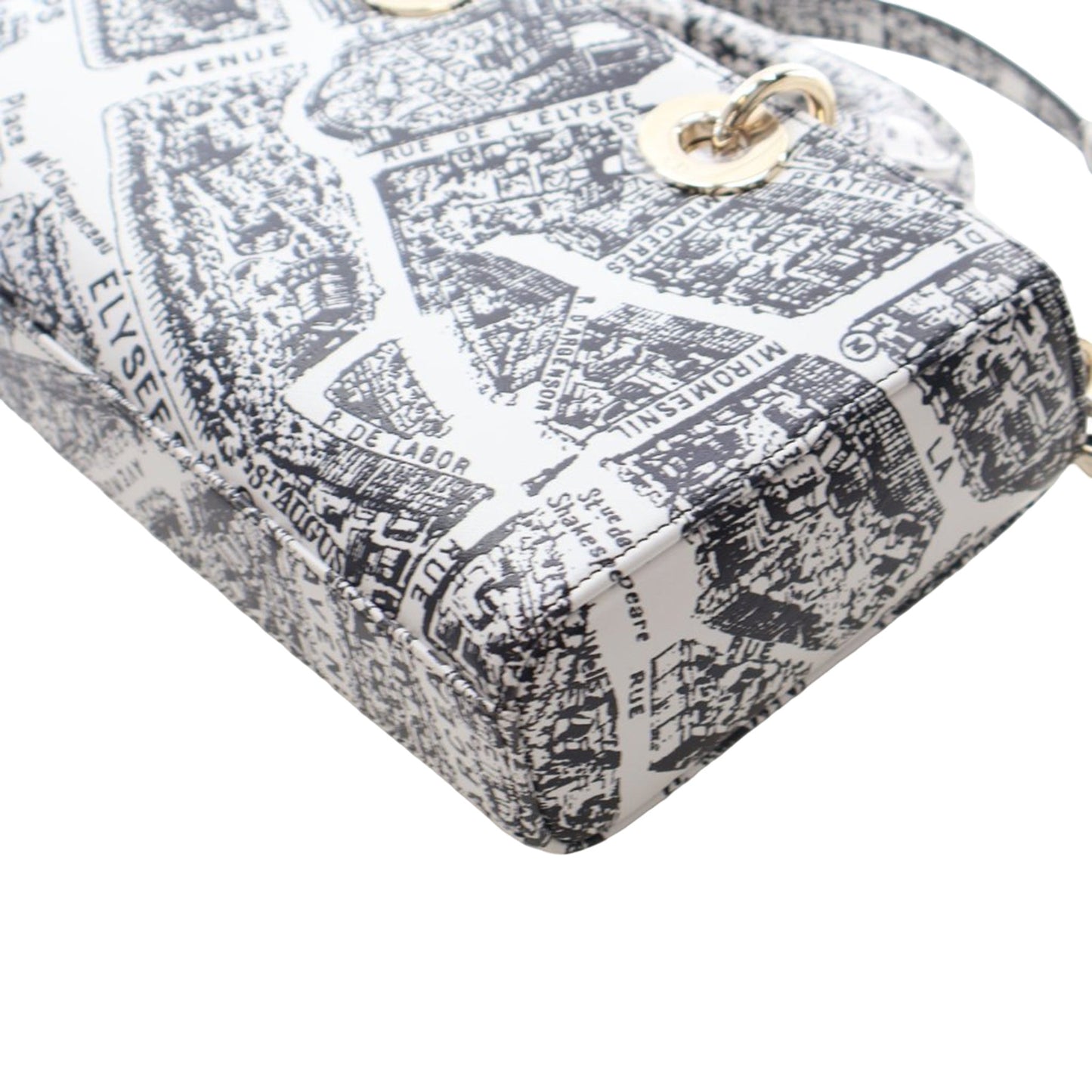 Dior Medium Calfskin Plan De Paris Printed Lady D Joy