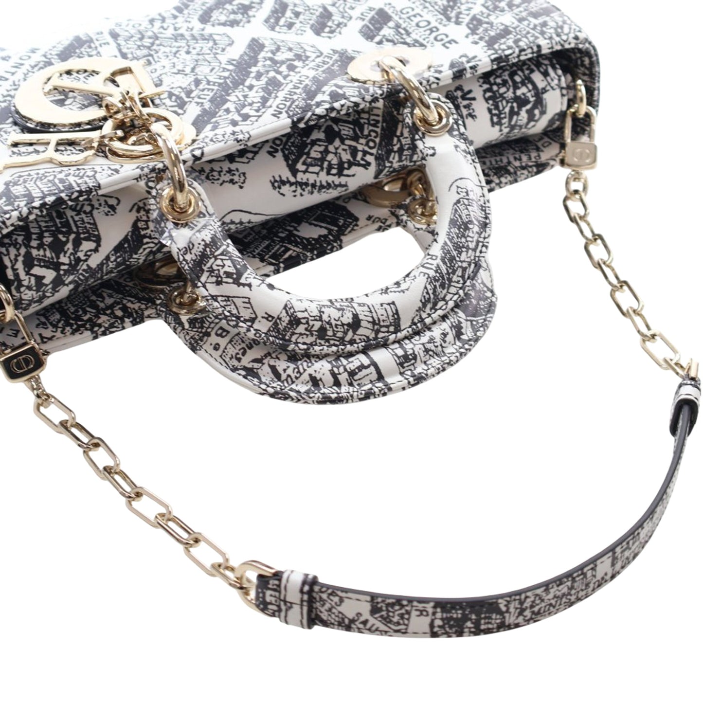 Dior Medium Calfskin Plan De Paris Printed Lady D Joy