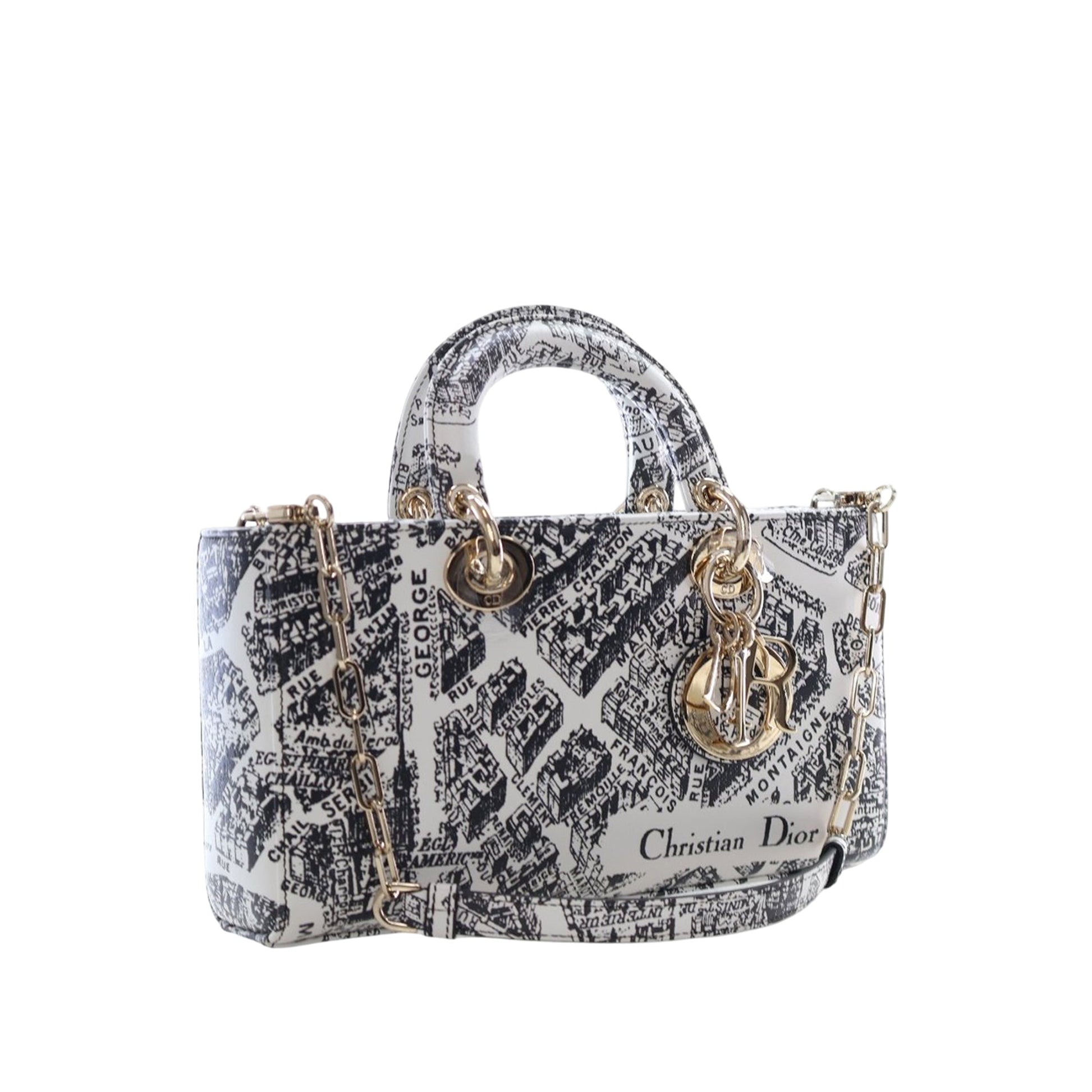 Dior Medium Calfskin Plan De Paris Printed Lady D Joy