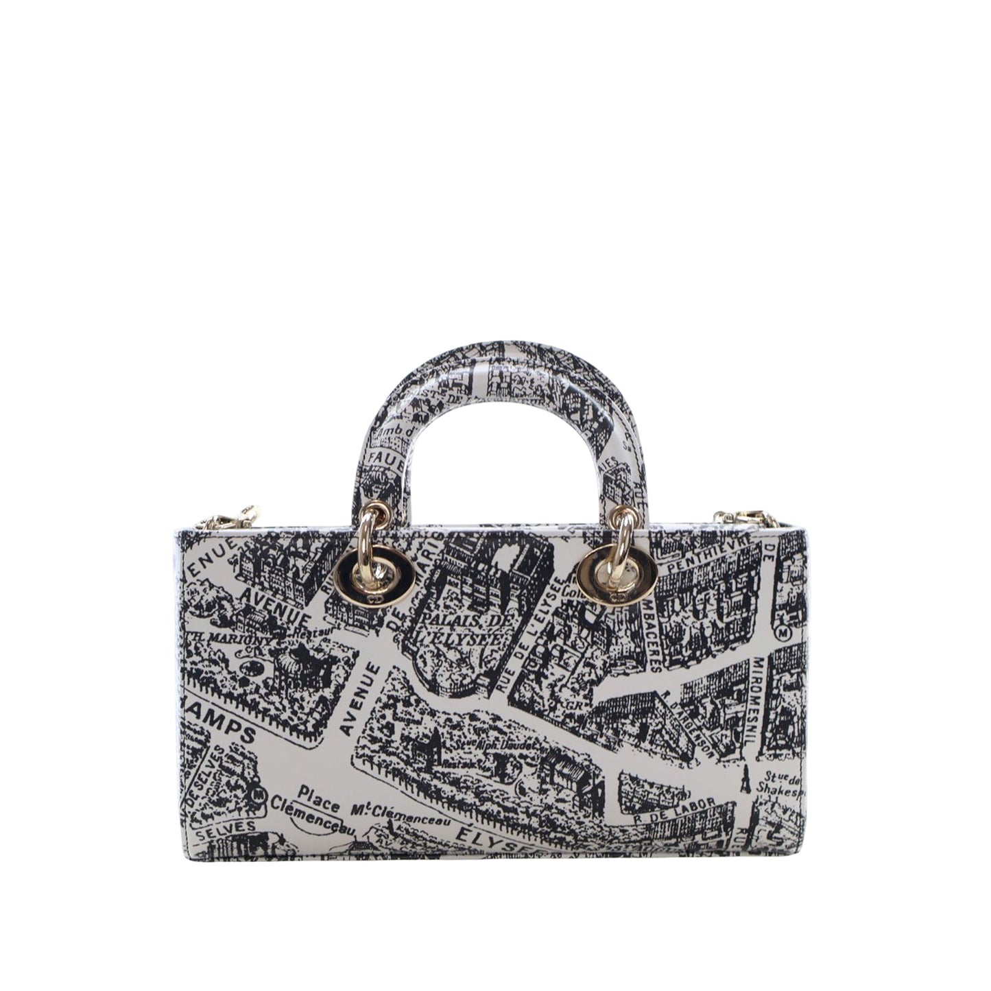 Dior Medium Calfskin Plan De Paris Printed Lady D Joy
